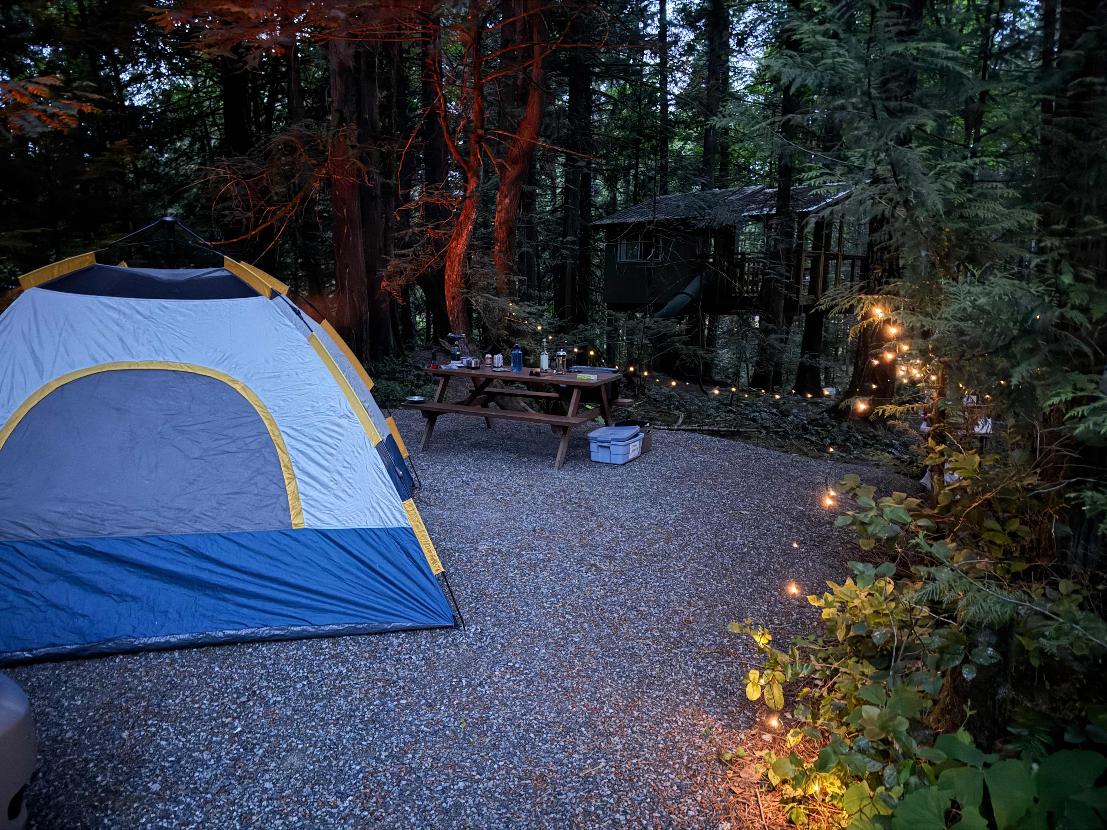 Forest Hideaway