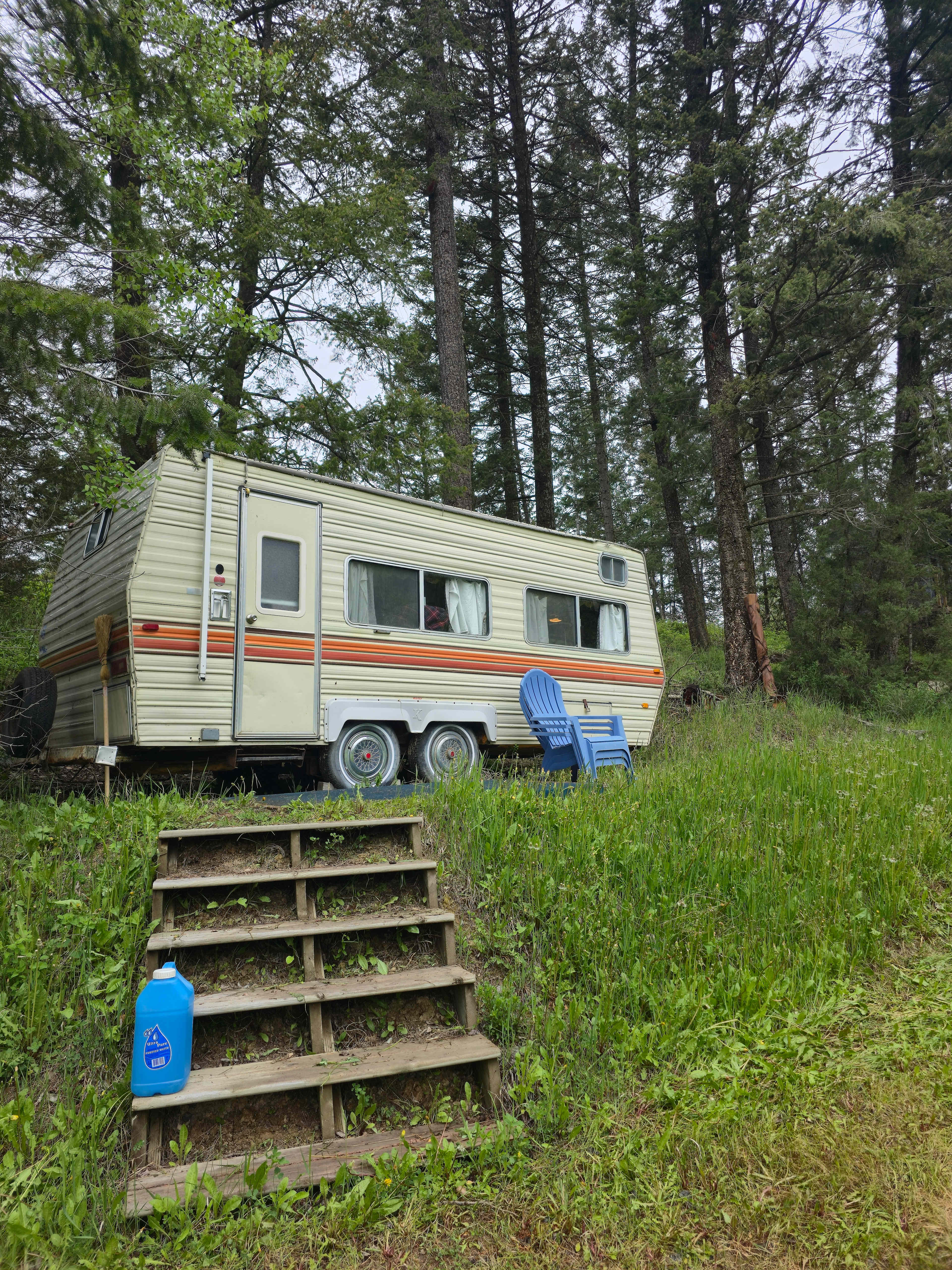 Flyway Farm & Forest
