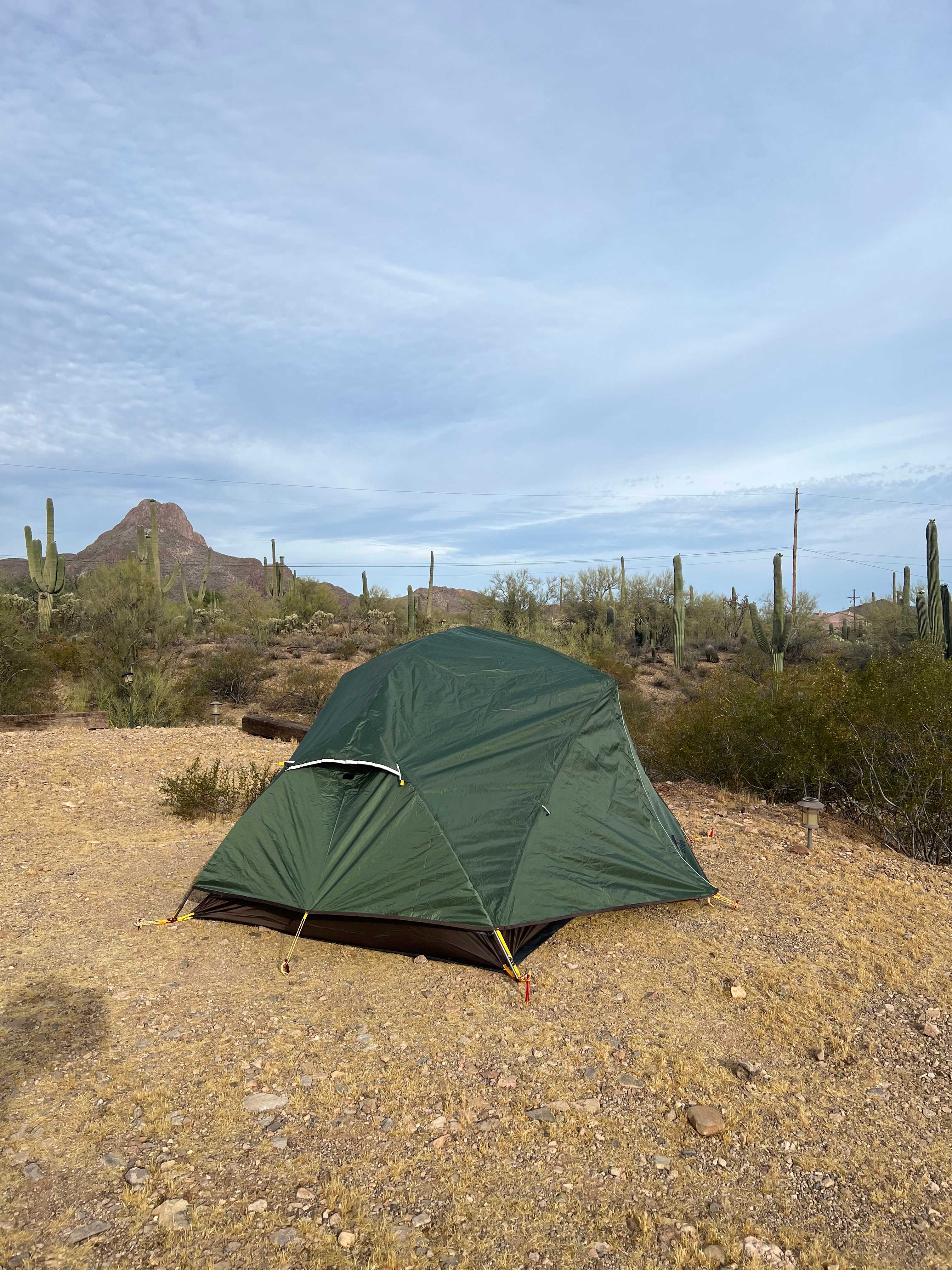 Saguaro Mountain View