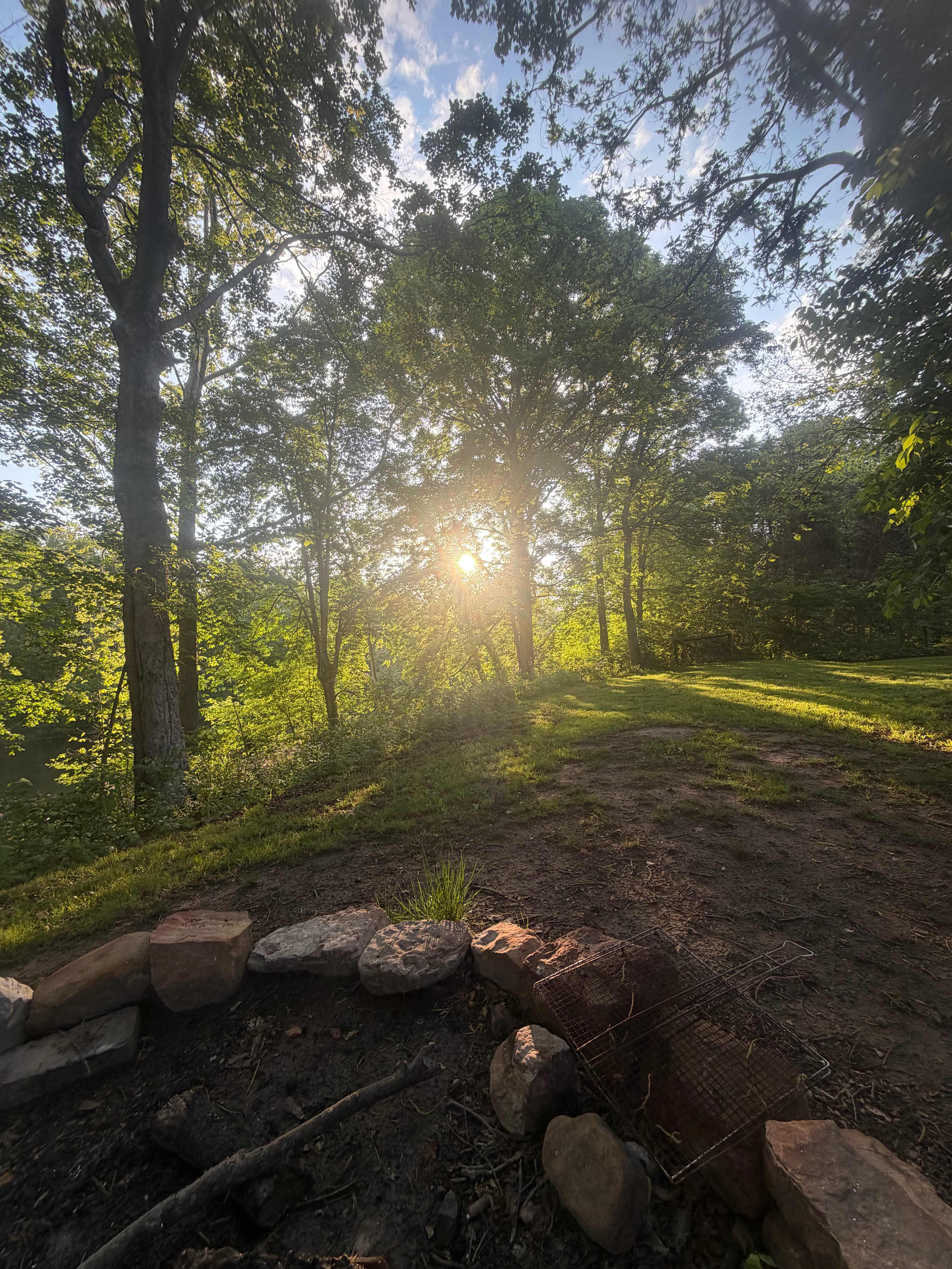 Camping in the shade on the river