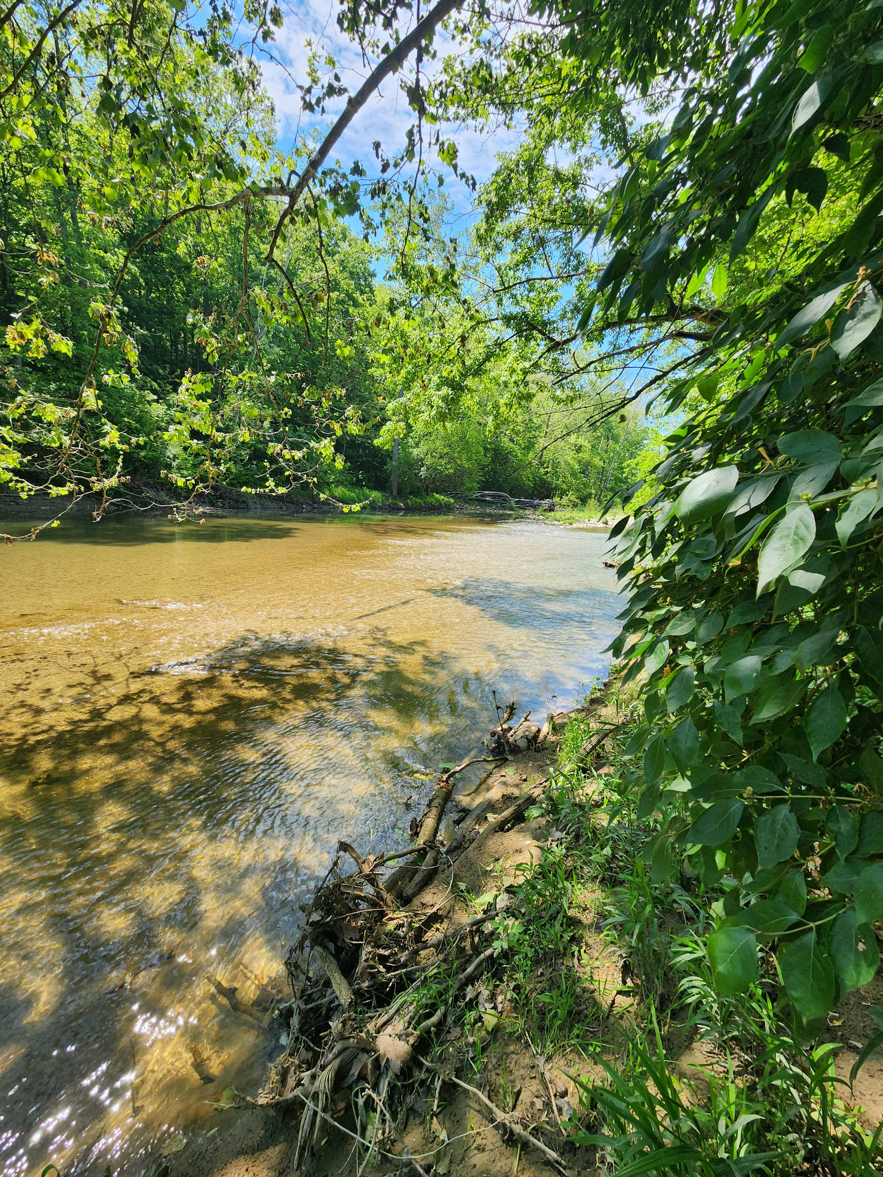 Quiet Creek Valley