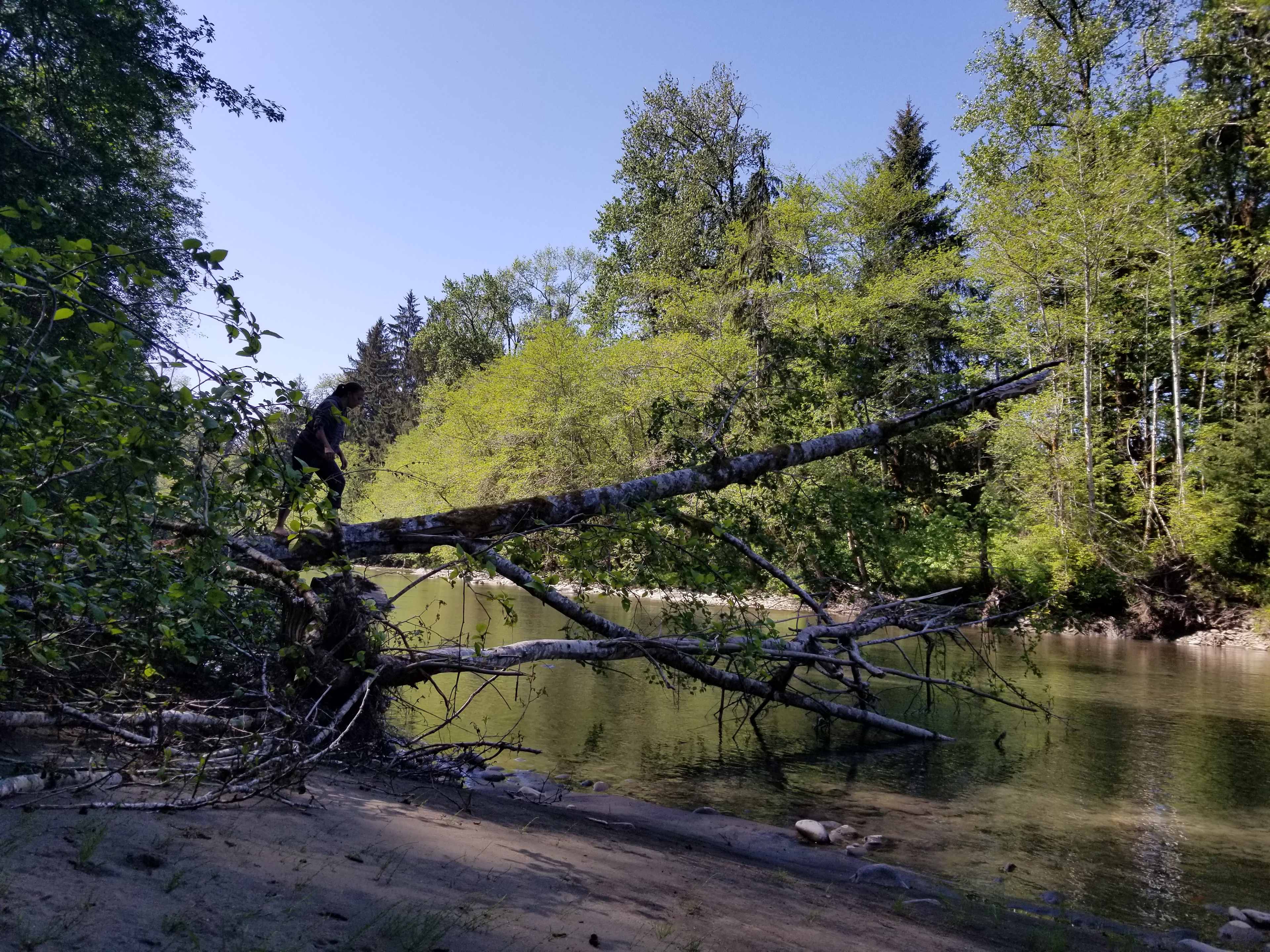Picture of the site