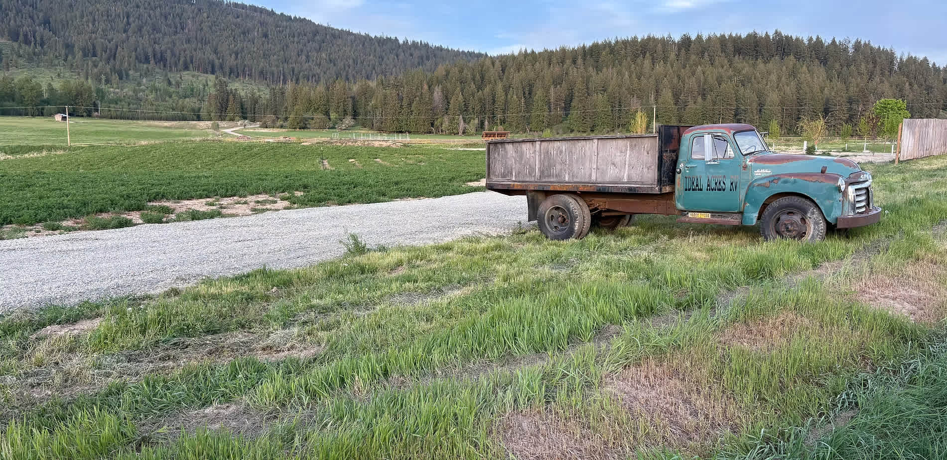 Picture of the site