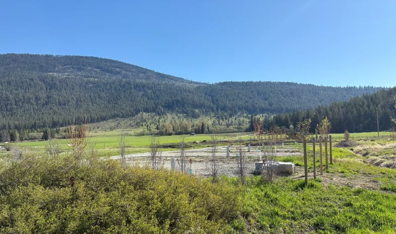 Picture of the site
