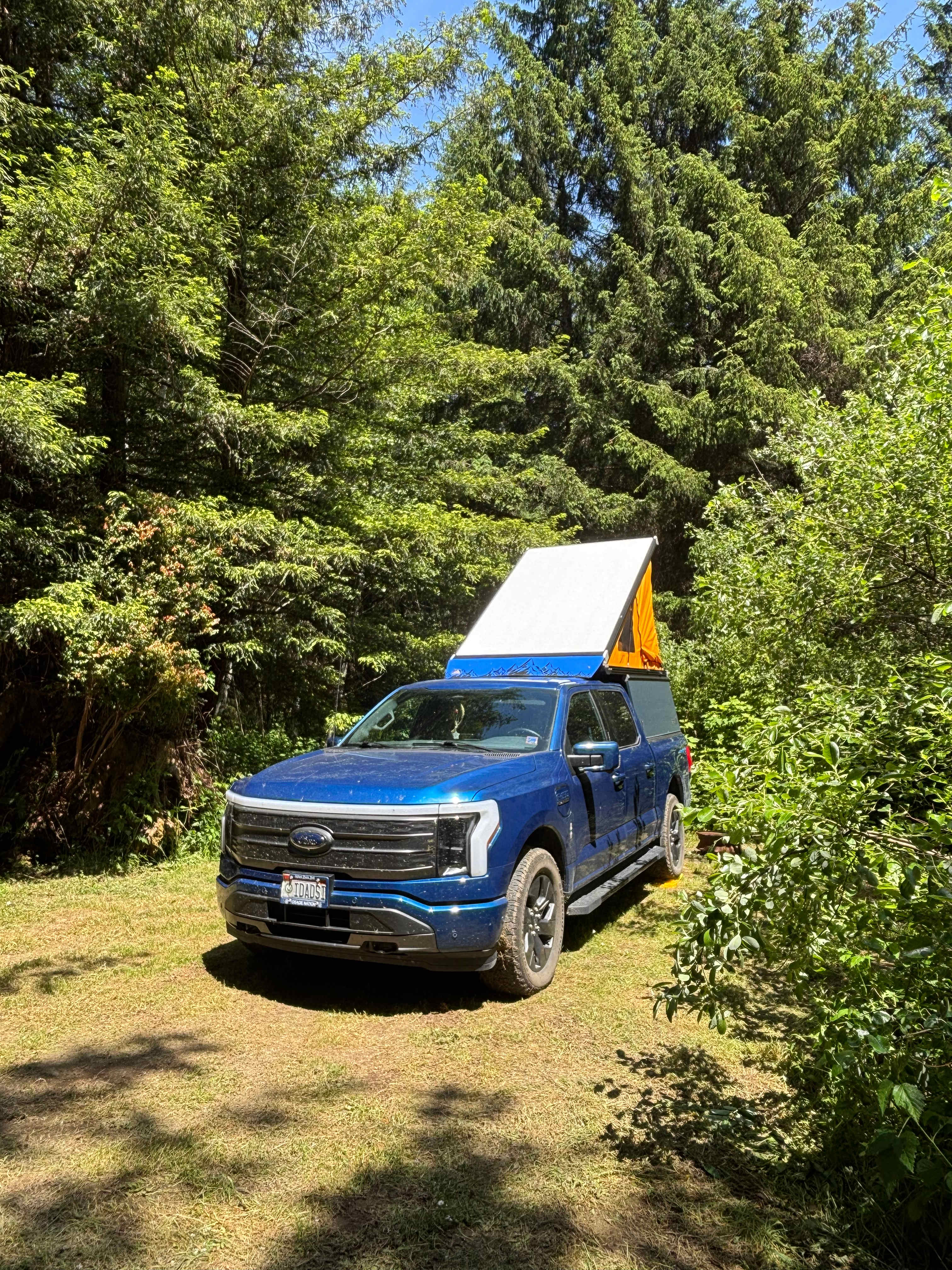 Mystic Forest Campground