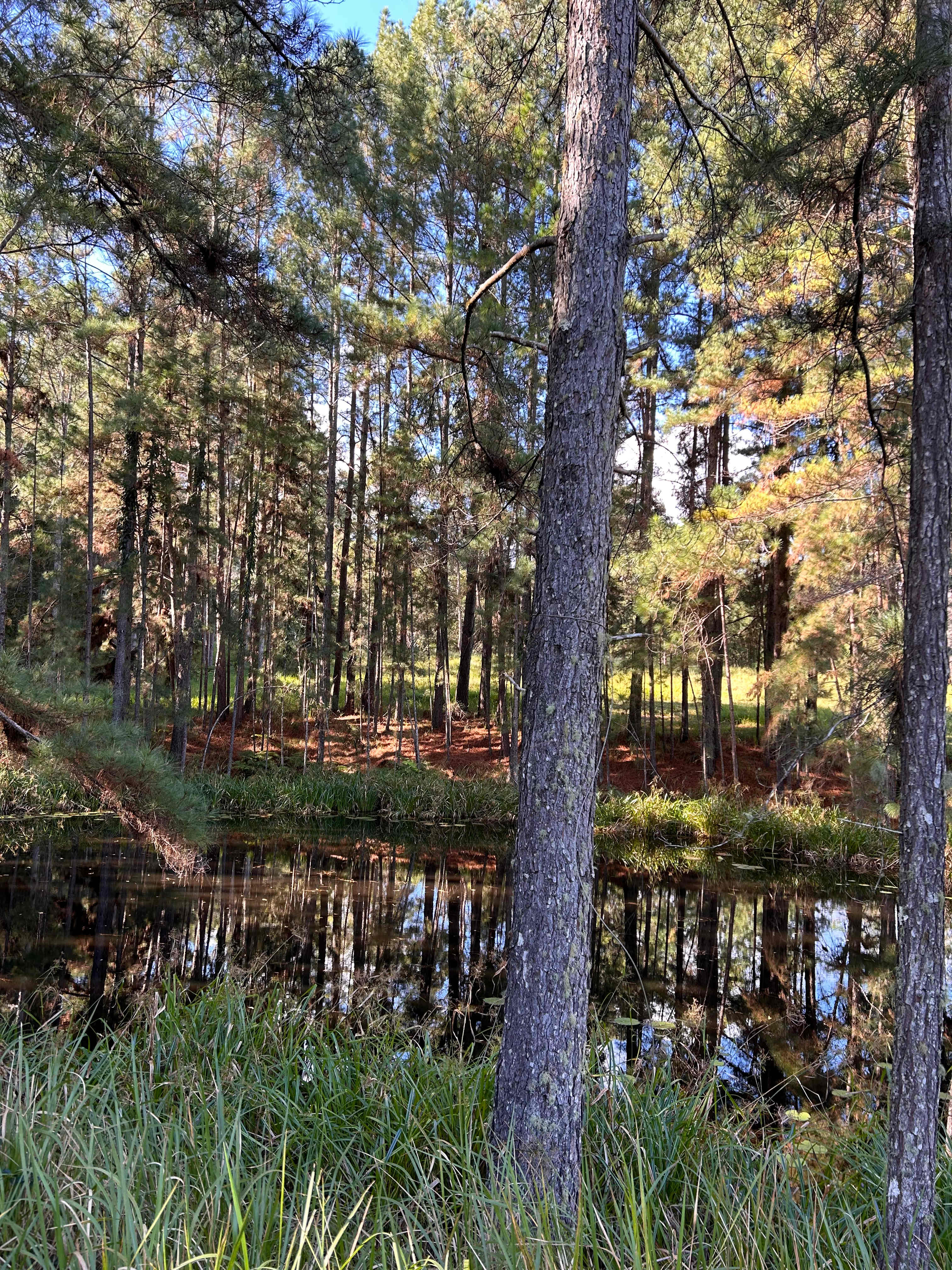 Stanlyn Park