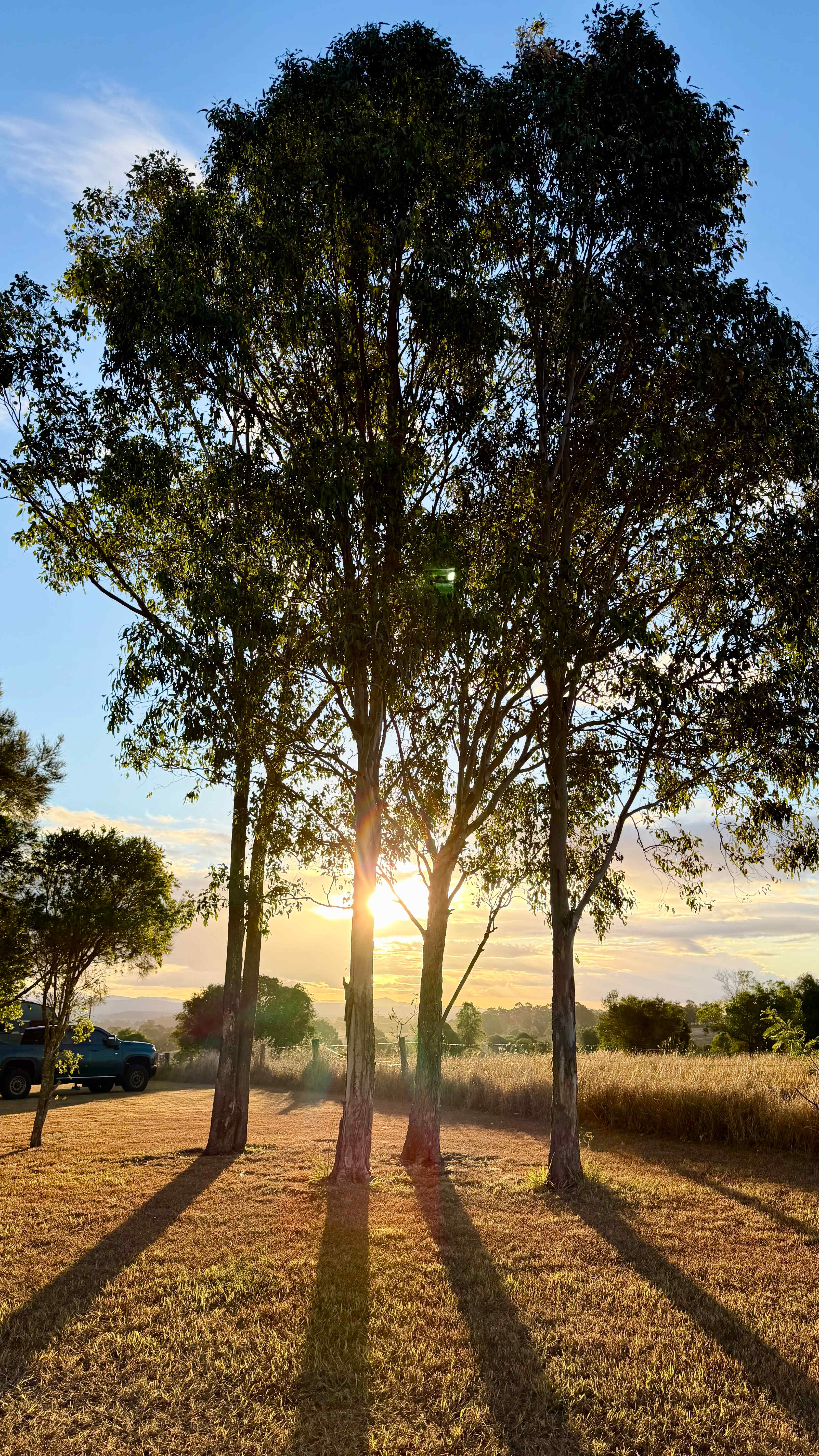 Olive View Estate - Stunning Views!