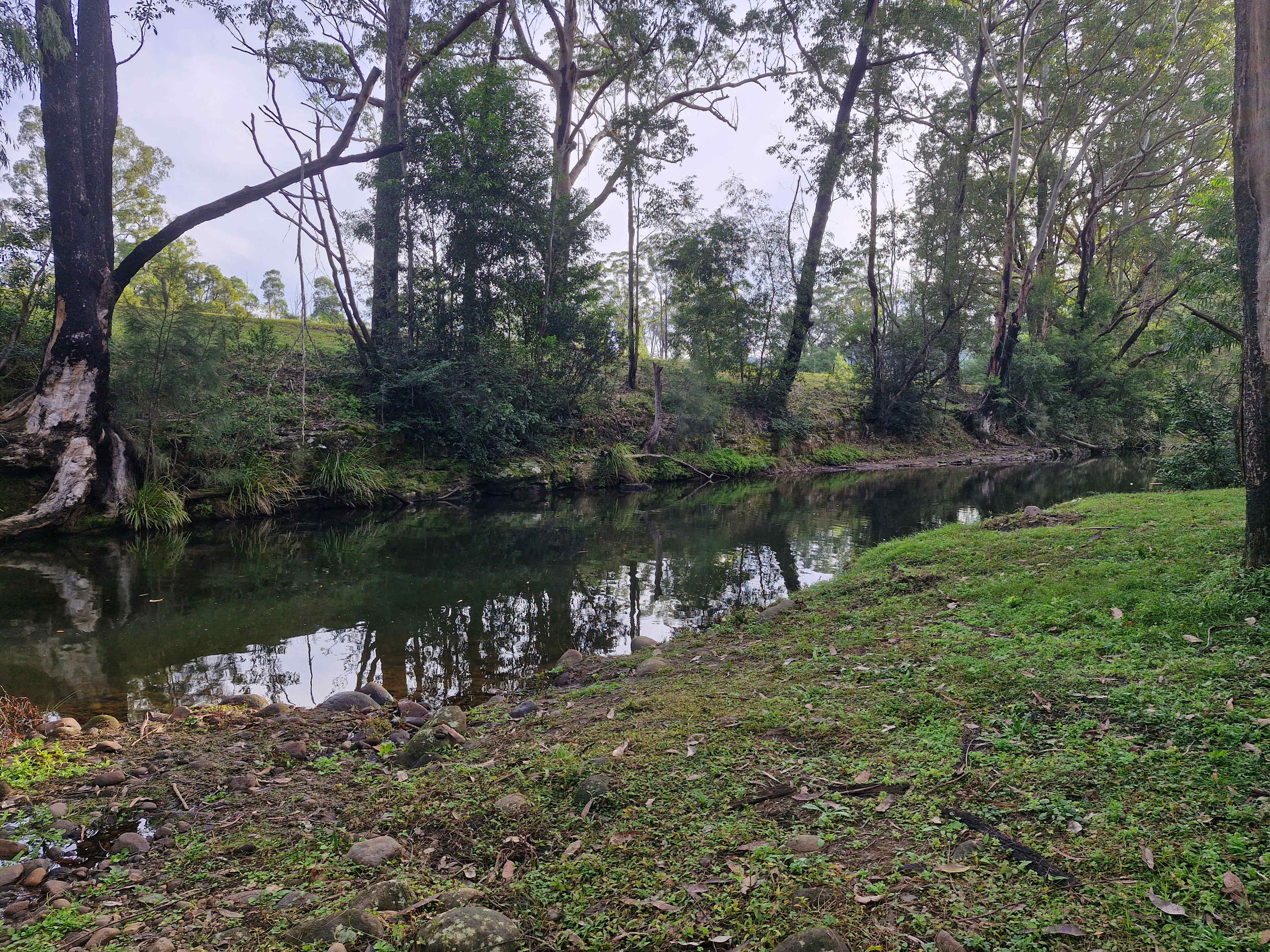 The swimming hole