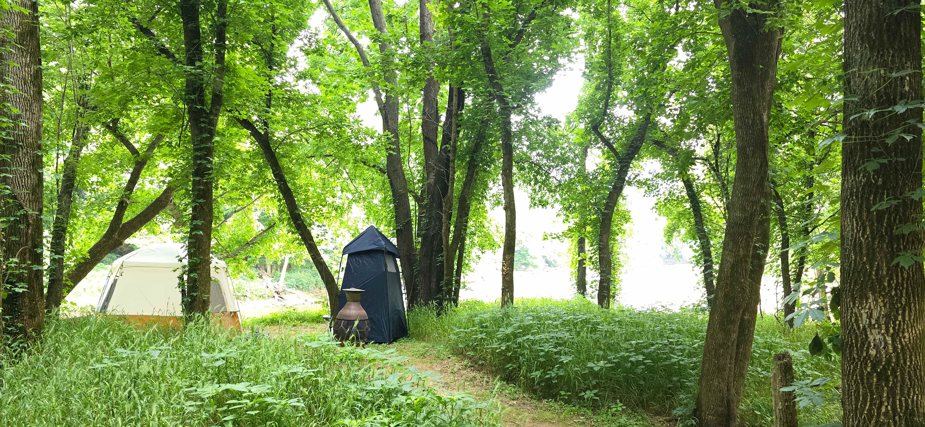 Illinois River Paradise | 60 Acres