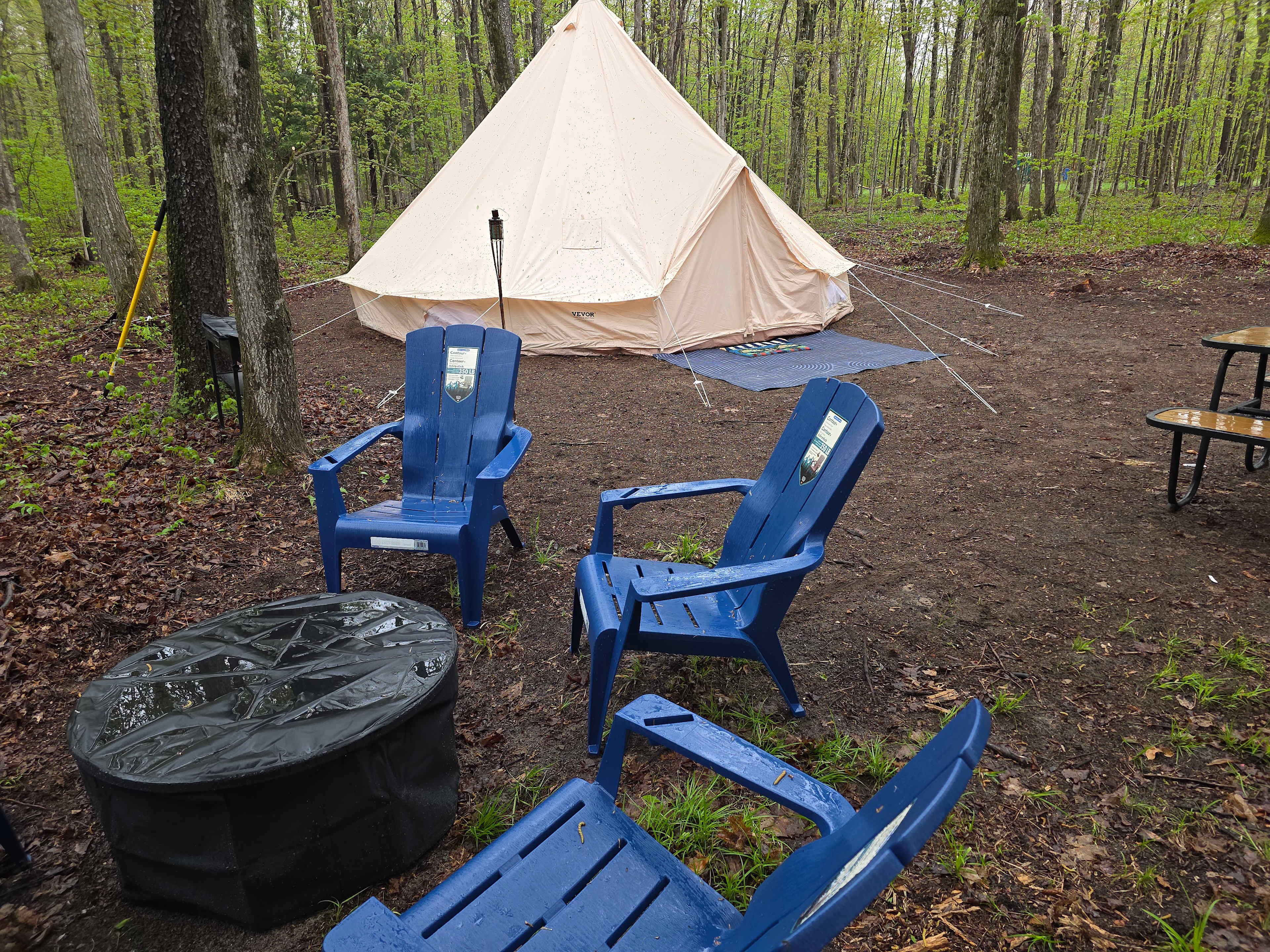 Picture of the site