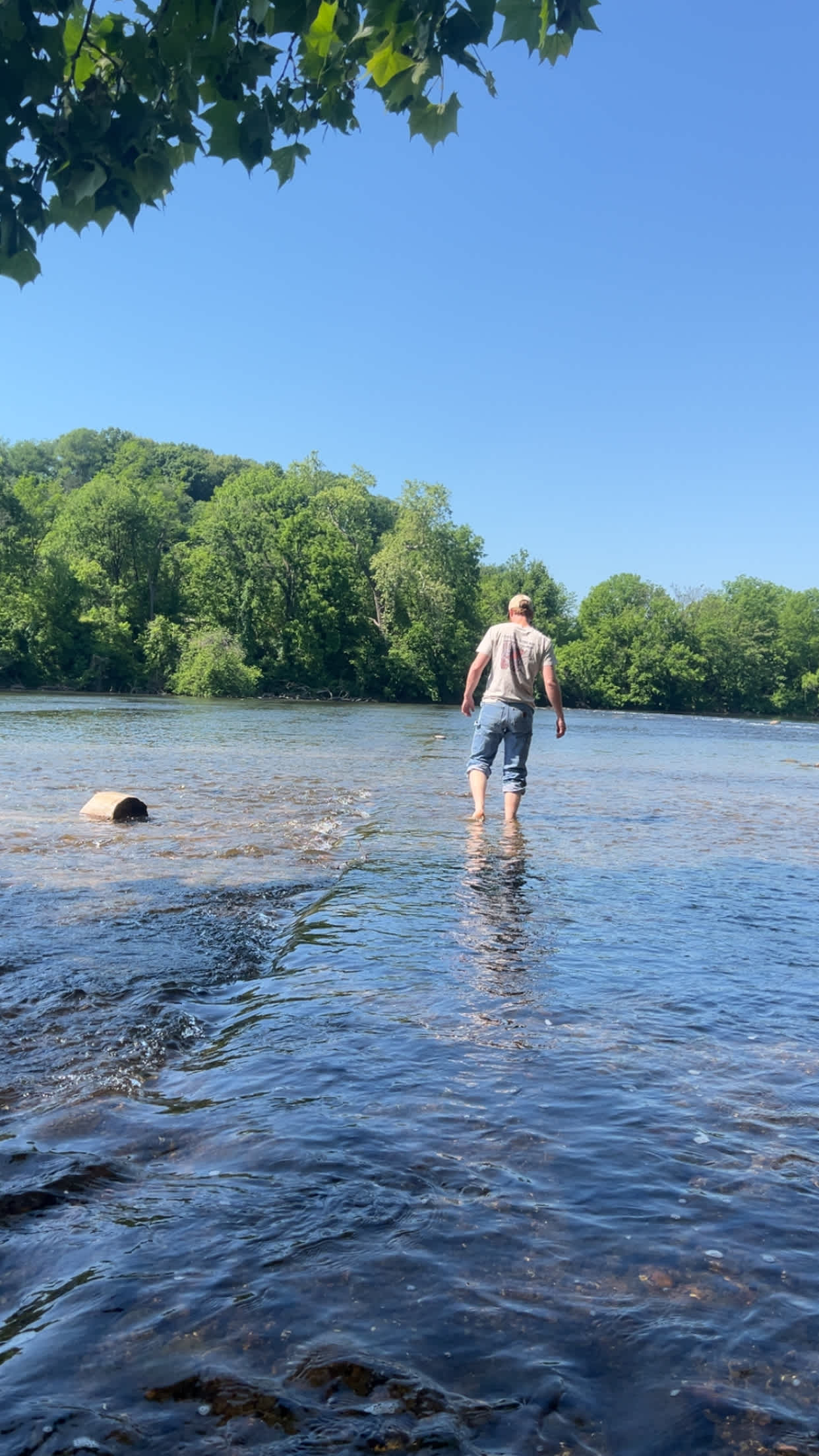 South River Farm Campground