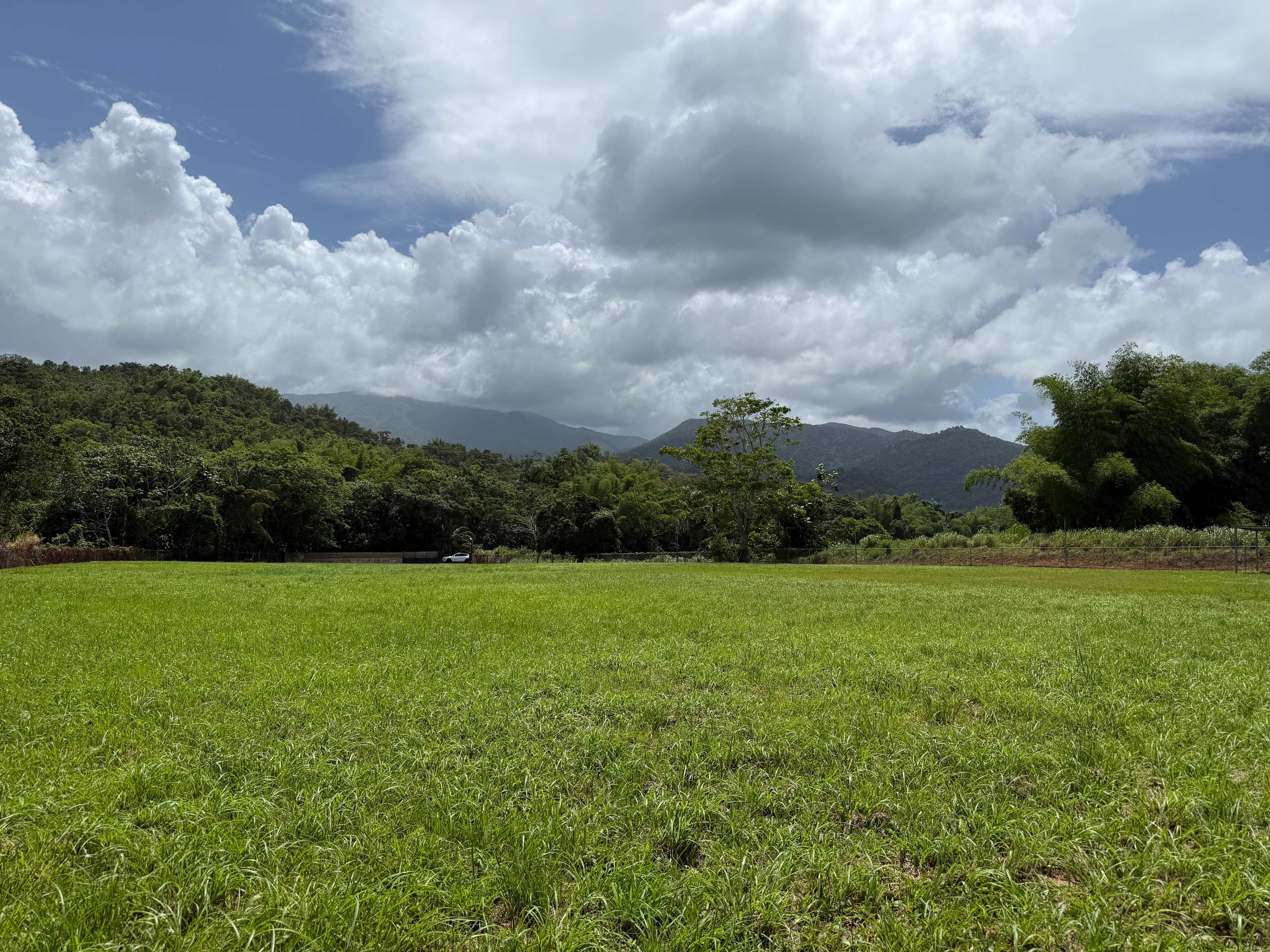 El Yunque Rest & Recharge