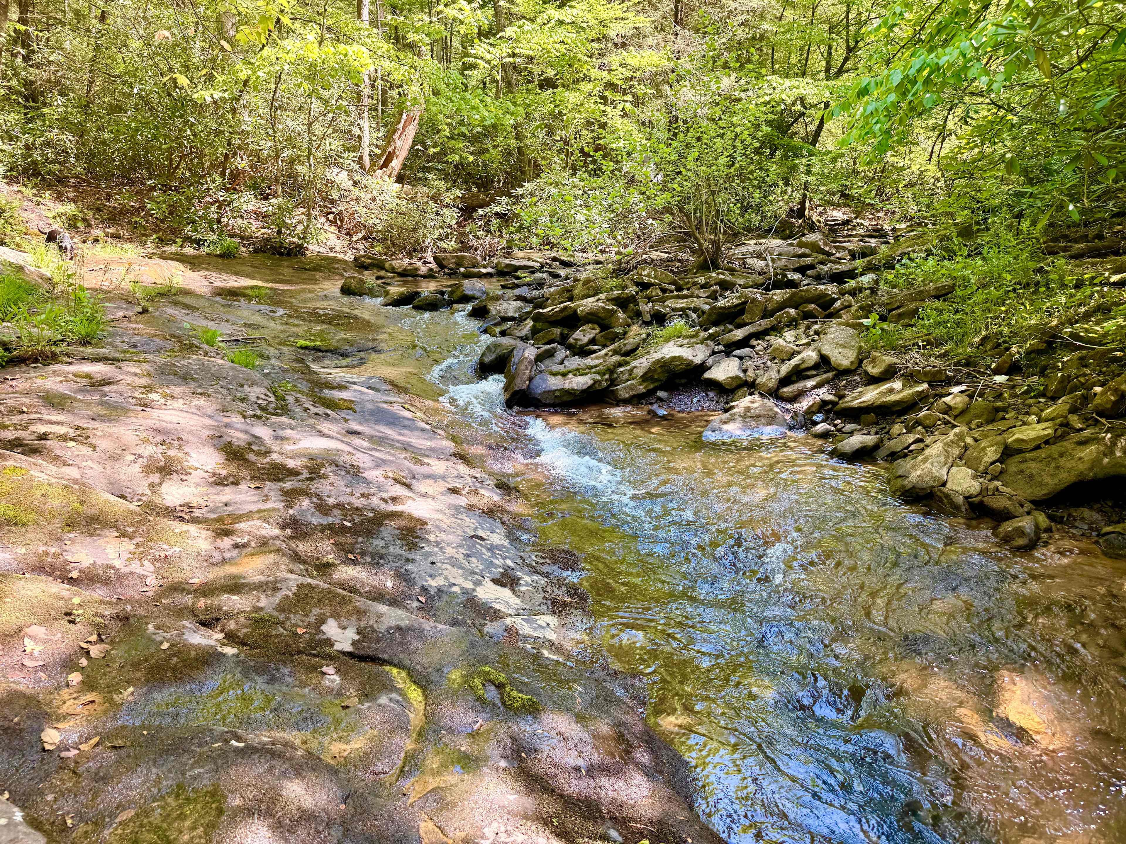 Possum Holler Camp- New River Gorge