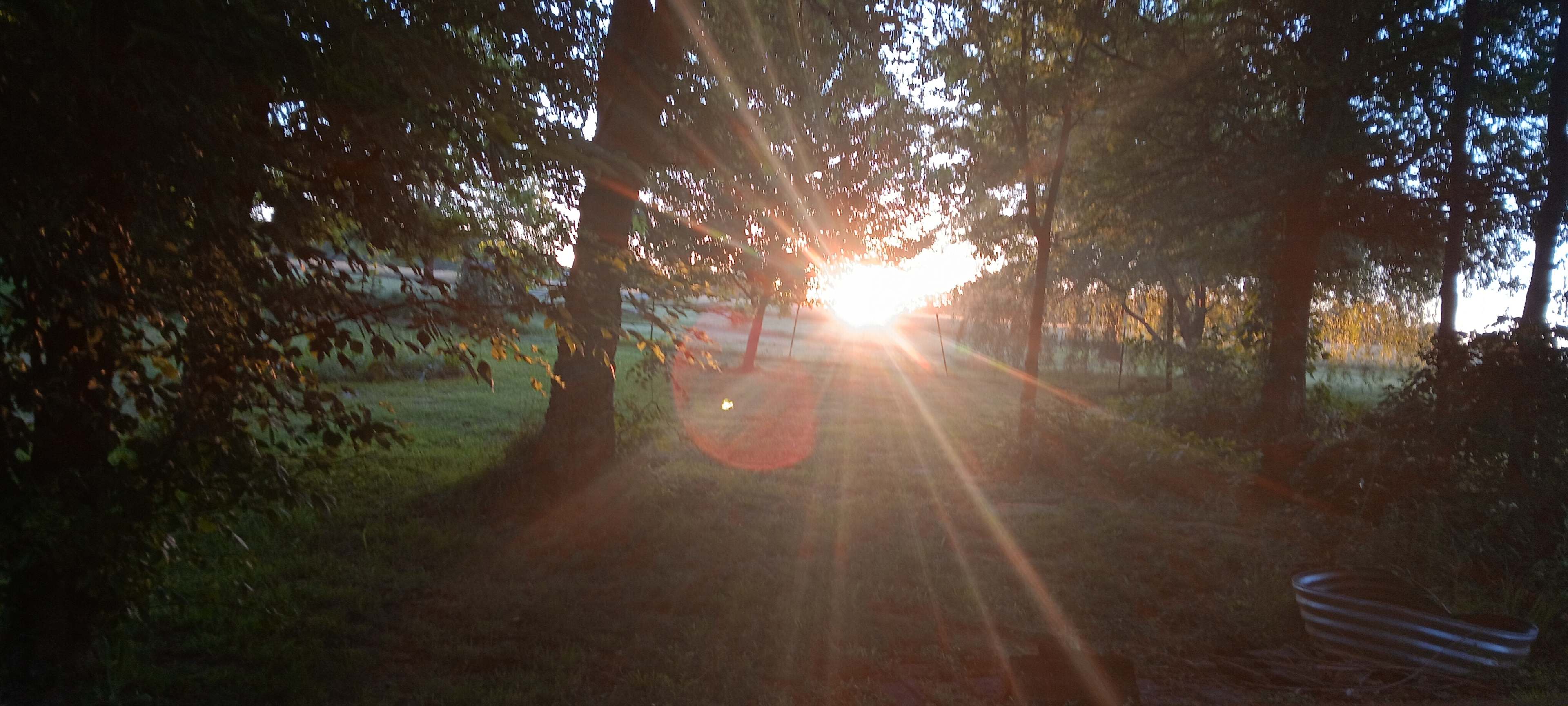 Sunrise from the micro cabin.