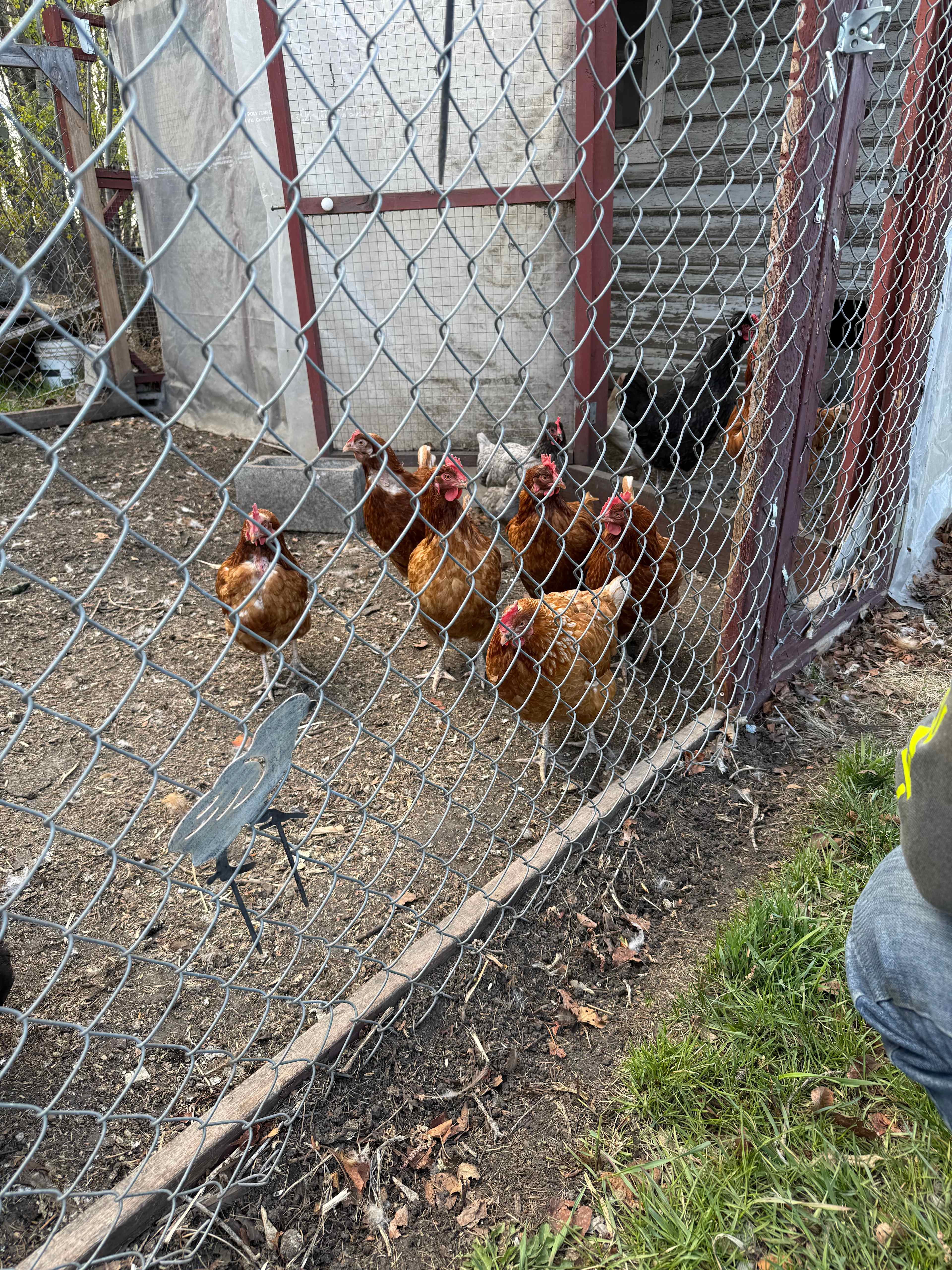 Red Rock Farm