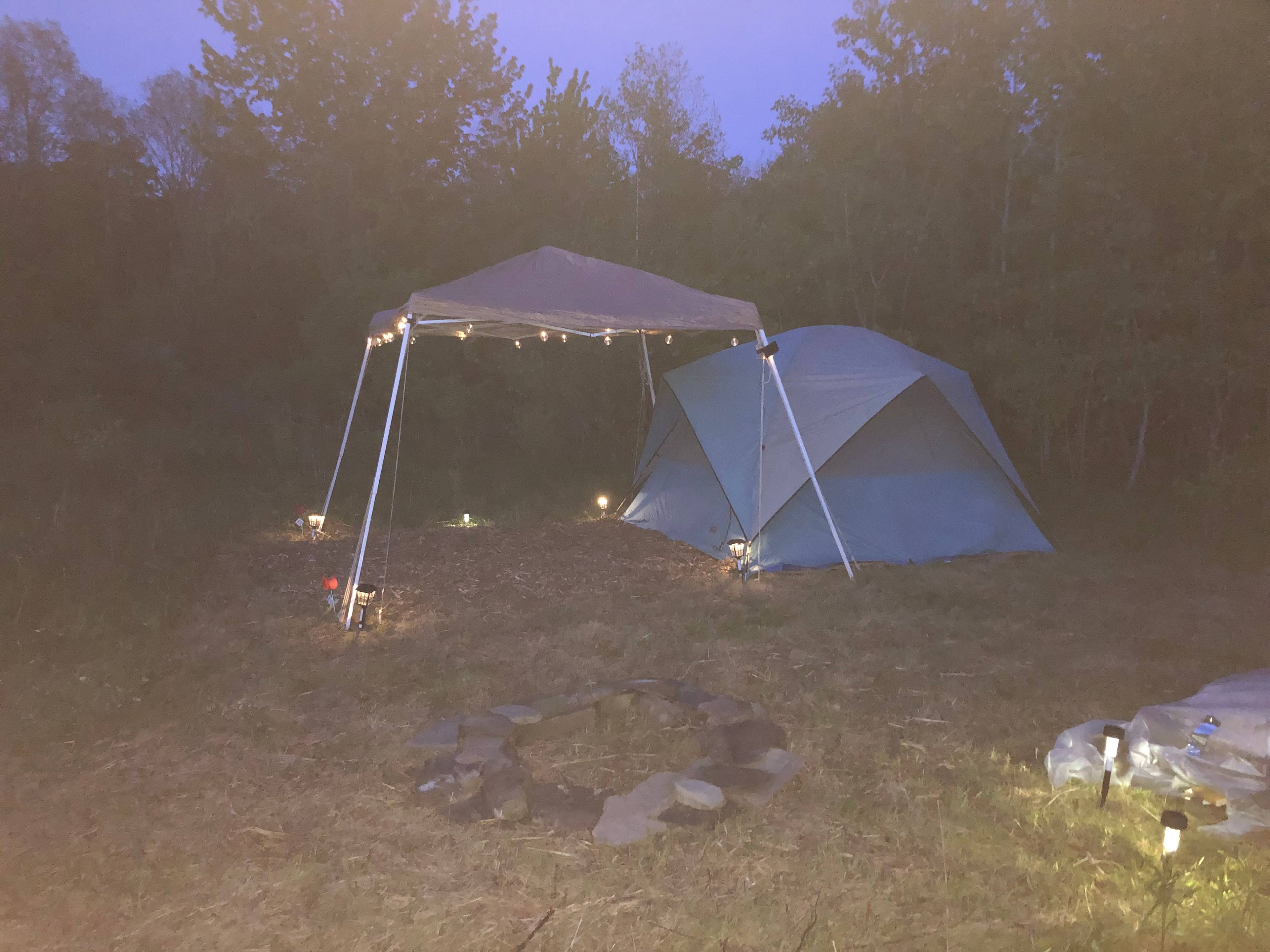 Picture of the site