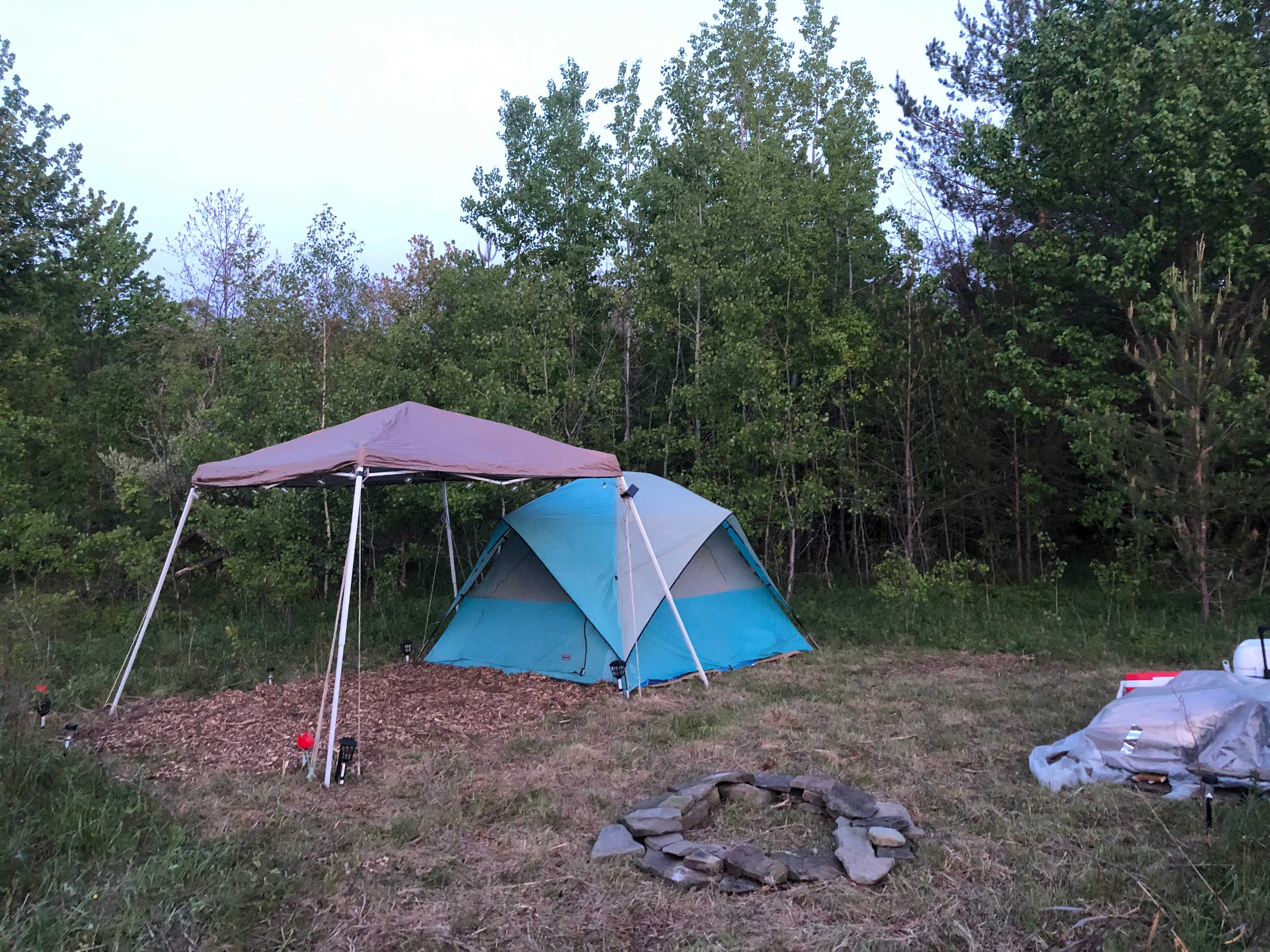 Picture of the site