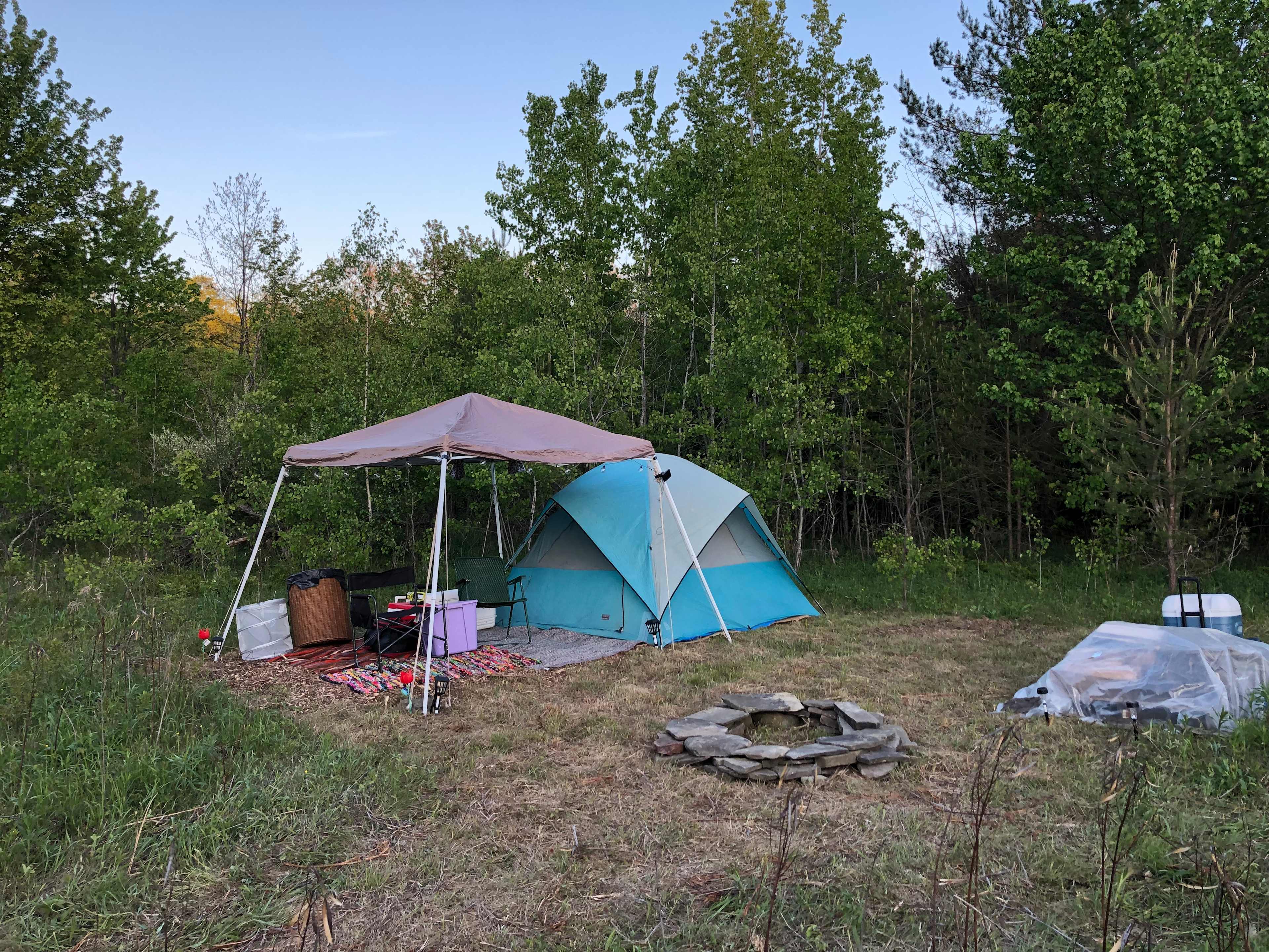 Picture of the site