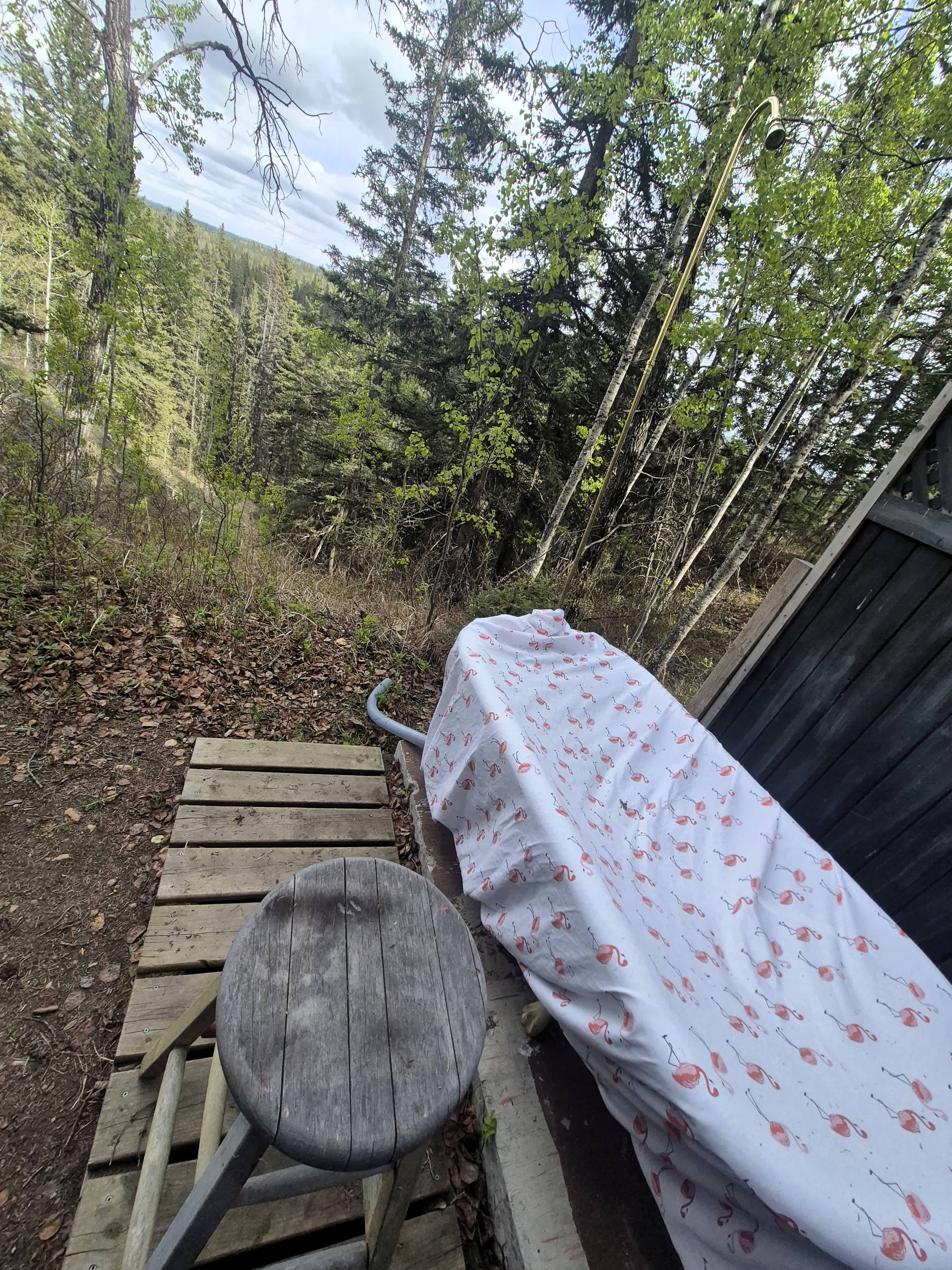 View from the (covered) bathtub. 