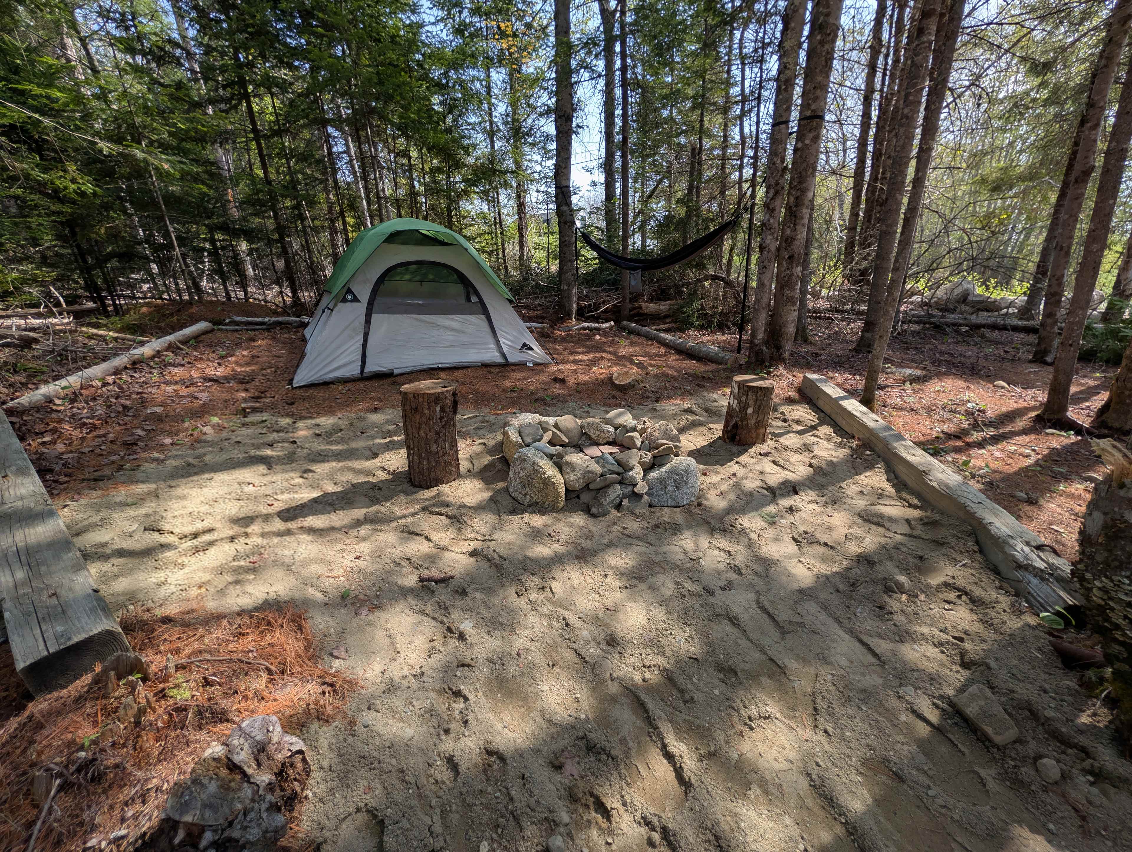 Picture of the site