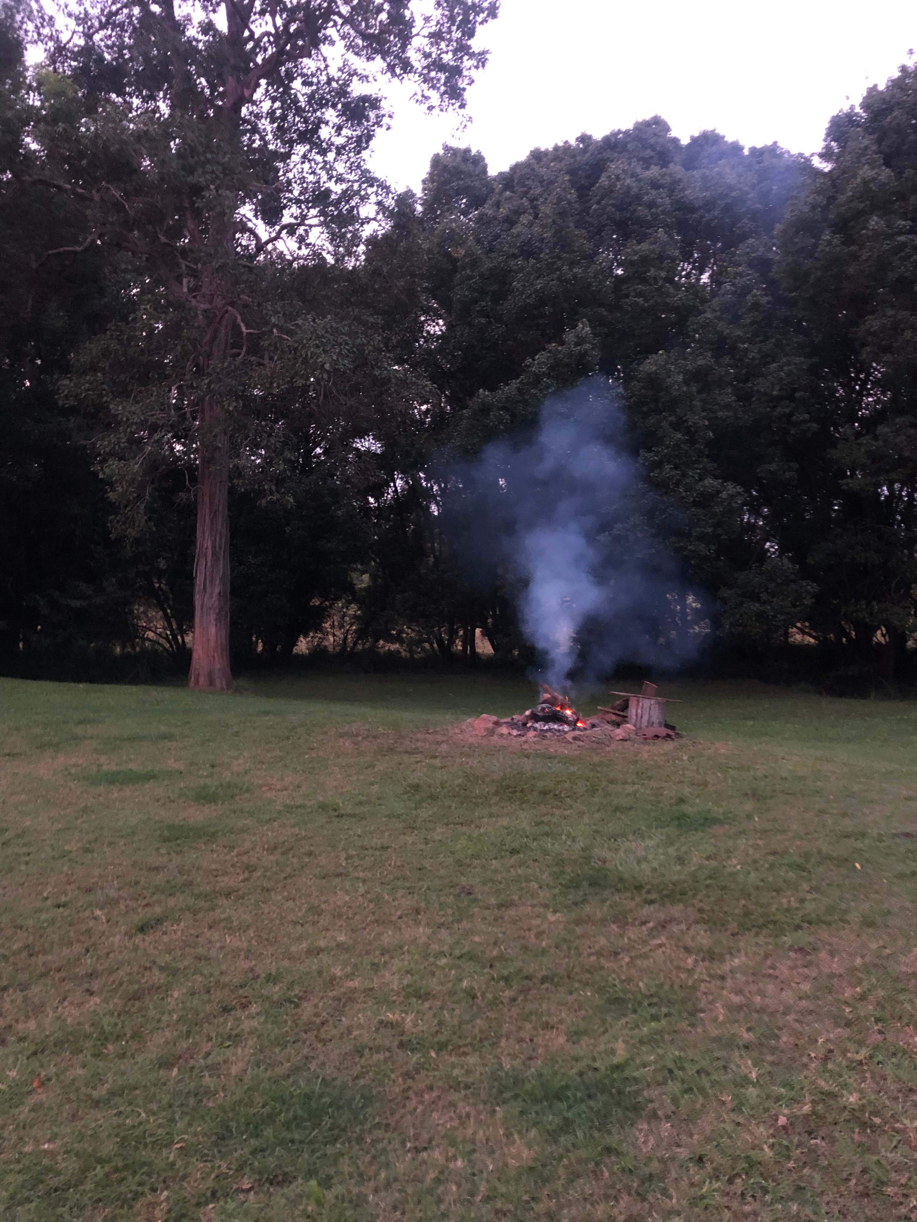 Relaxing by the Fire