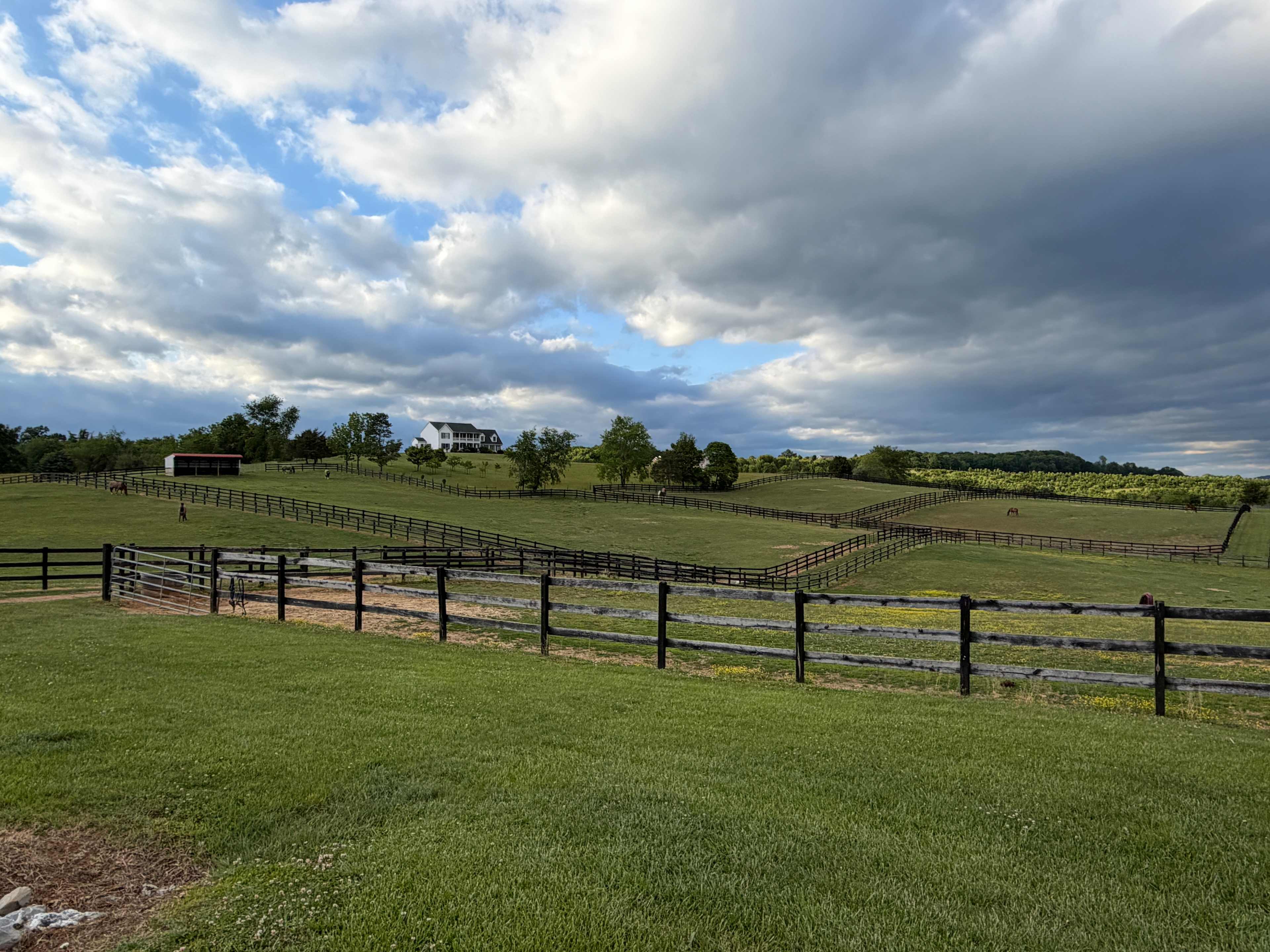 Mane Gait Equestrian Center