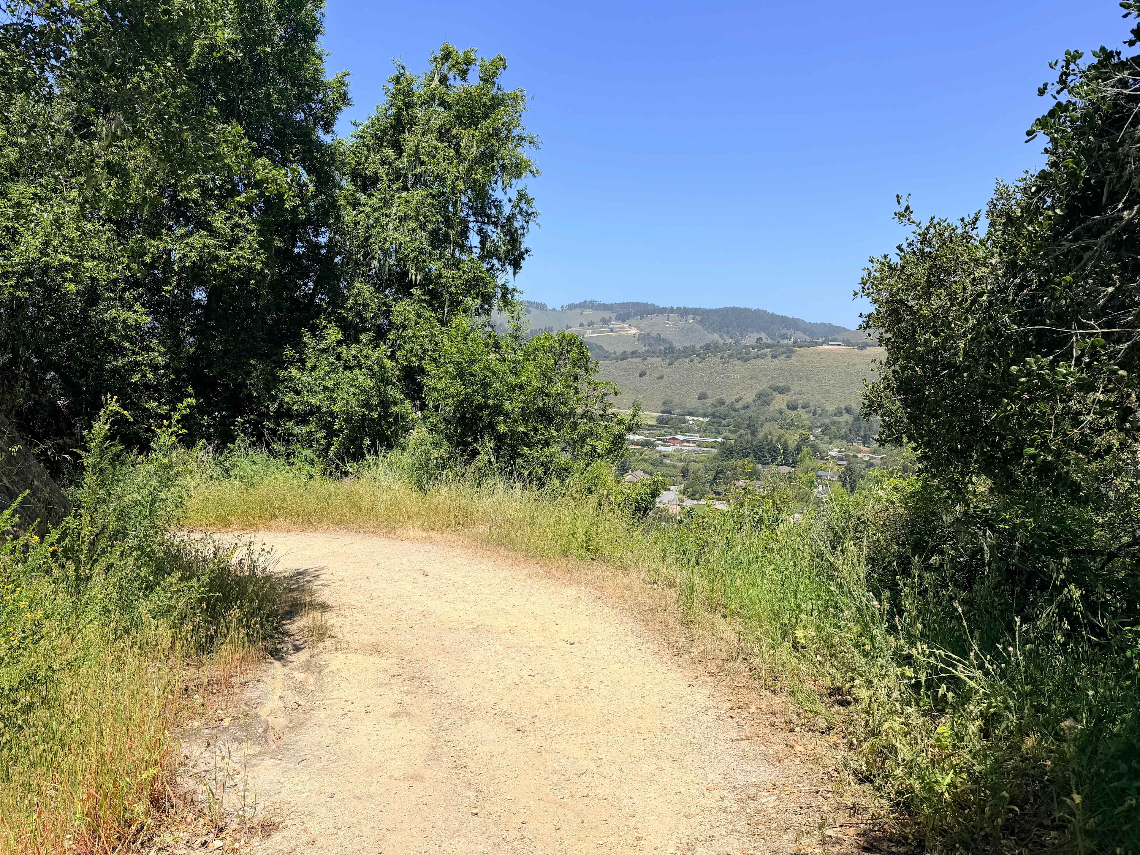 Saddle Mountain Carmel