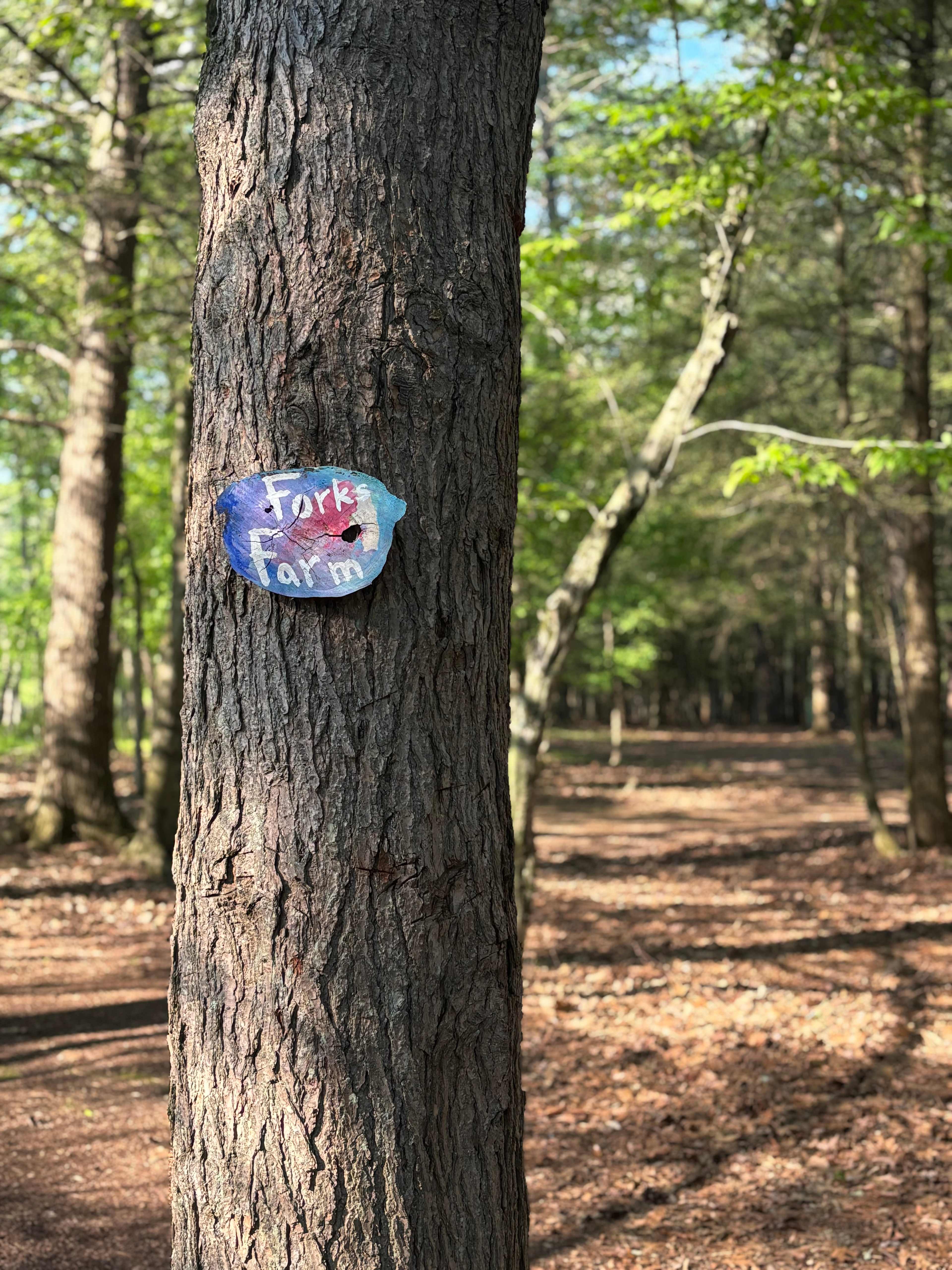 Forks Farm Campground