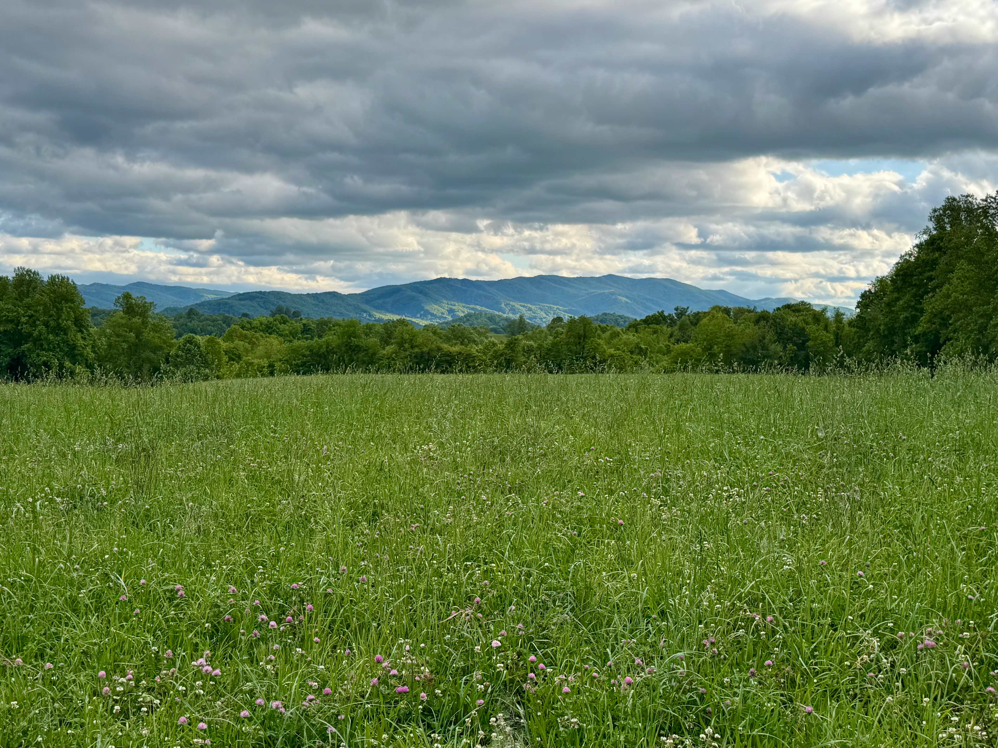 Secluded Farm Camp near Damascus VA