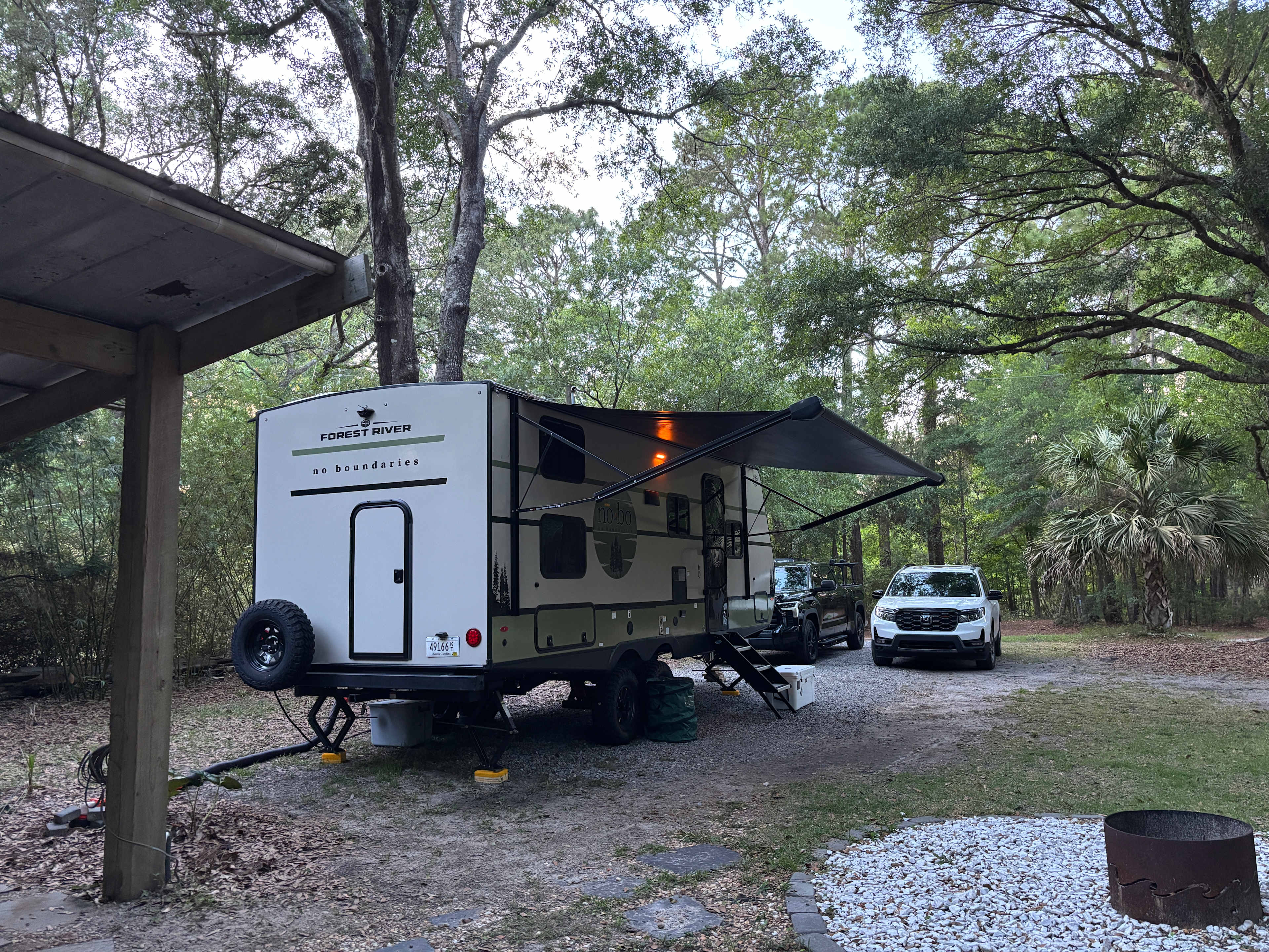 Lowcountry Live Oaks.