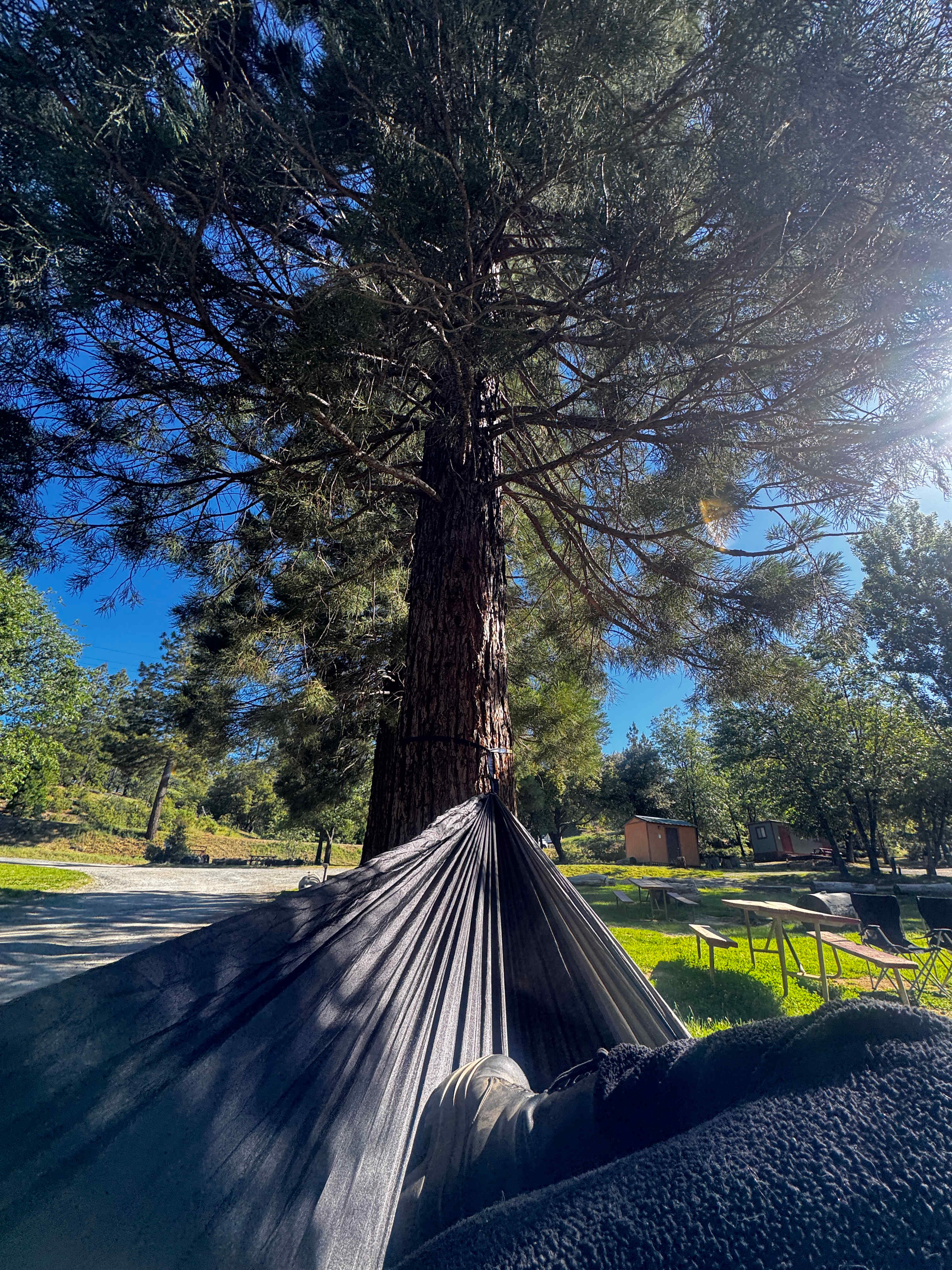 Yosemite Westlake Camp