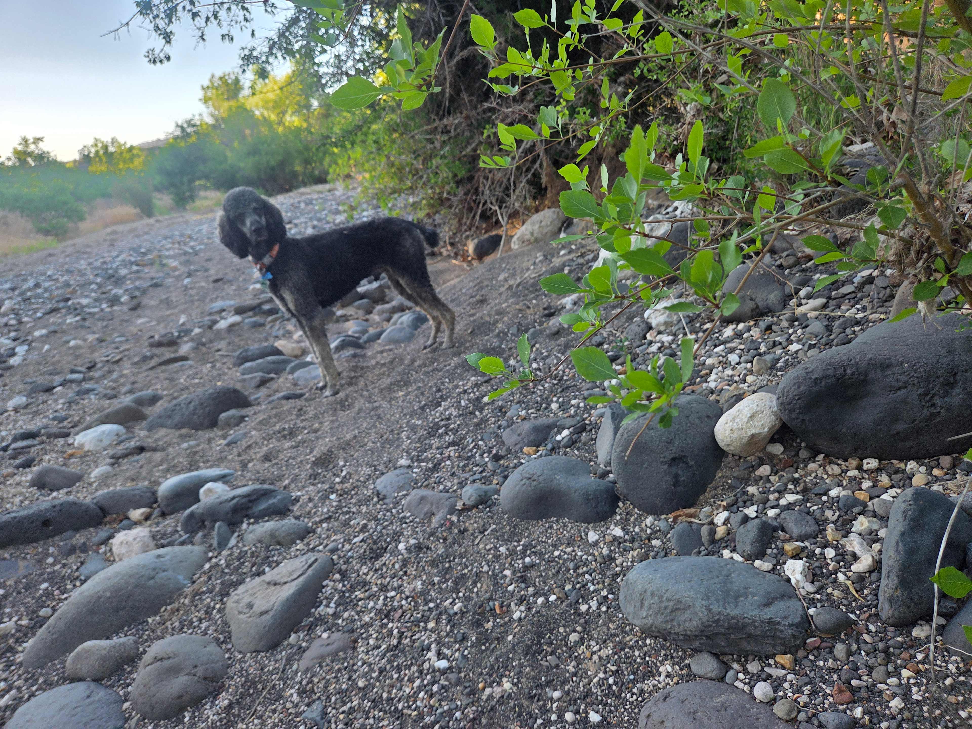 Irie down by the creek. 