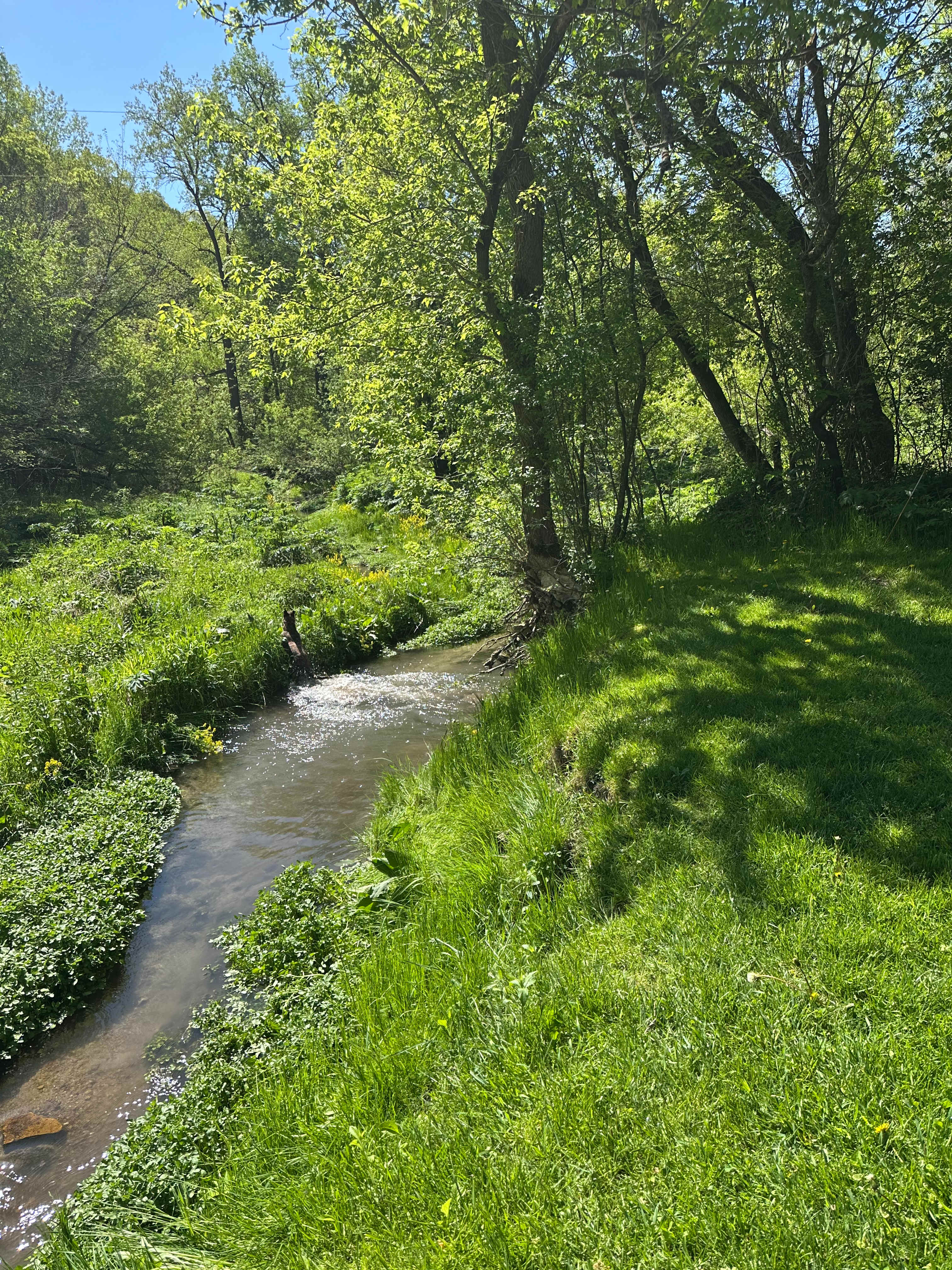 Ranch Retreat Camping