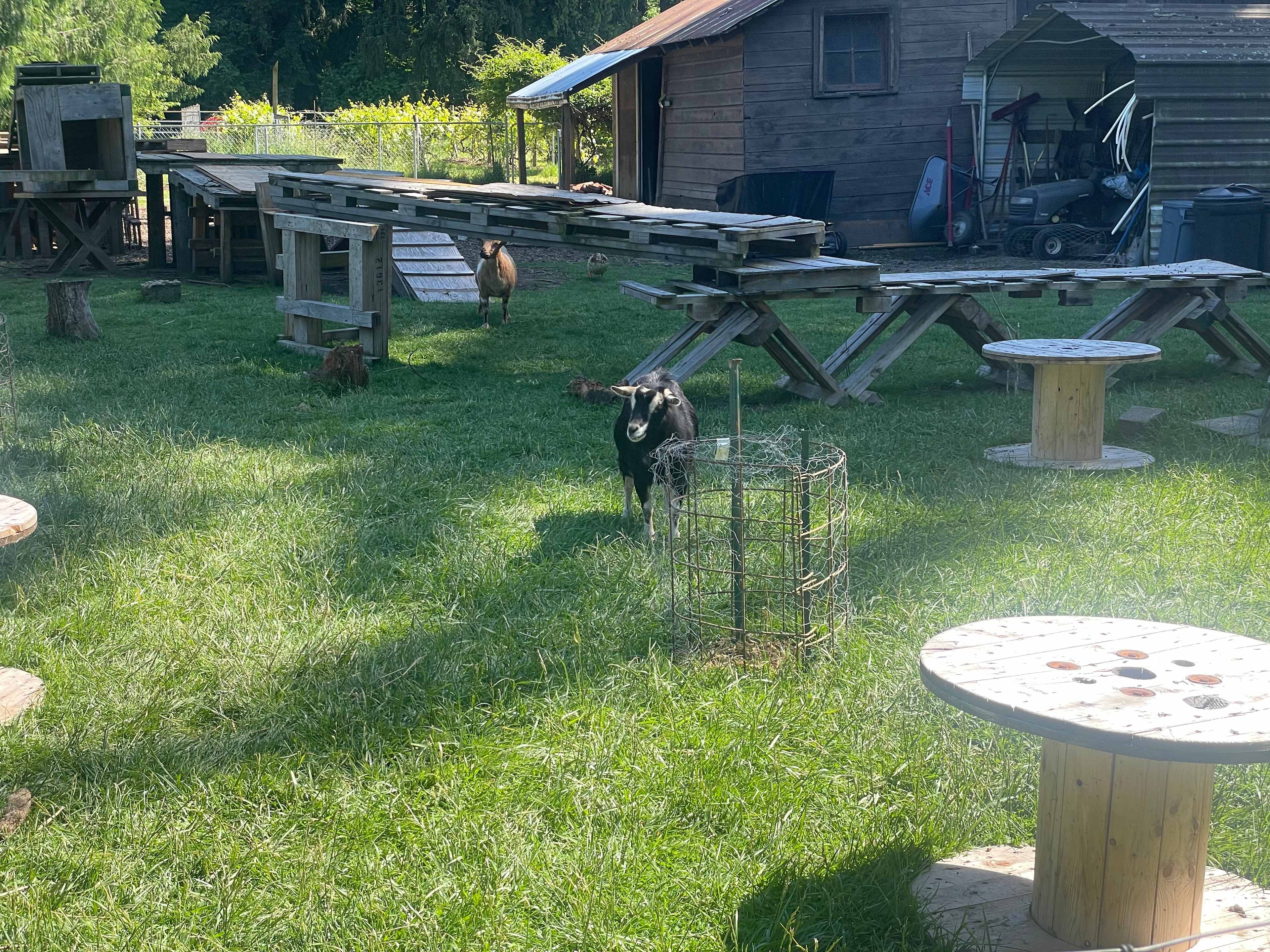 Homestead By Estacada Lake