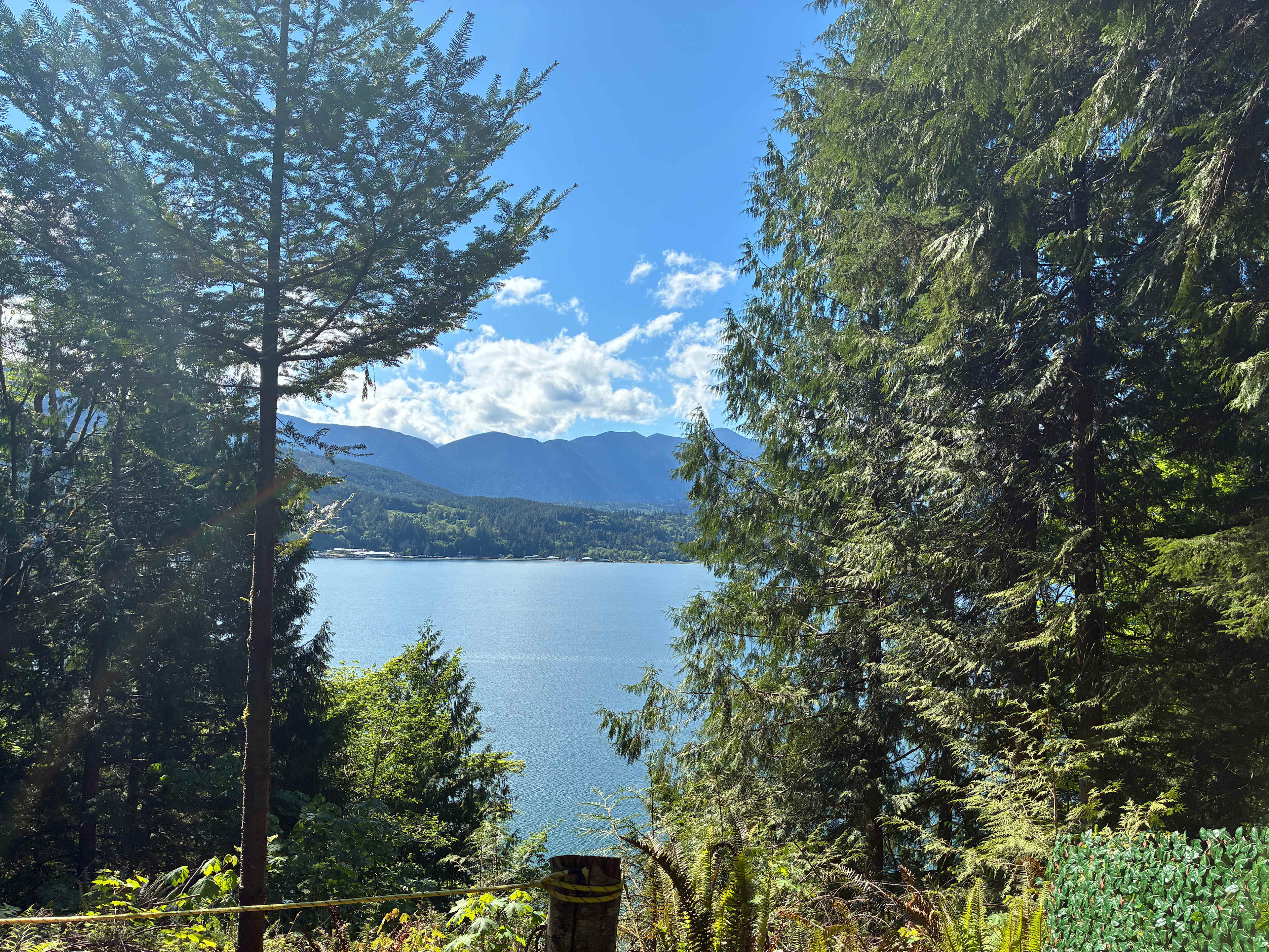 View from inside window 
