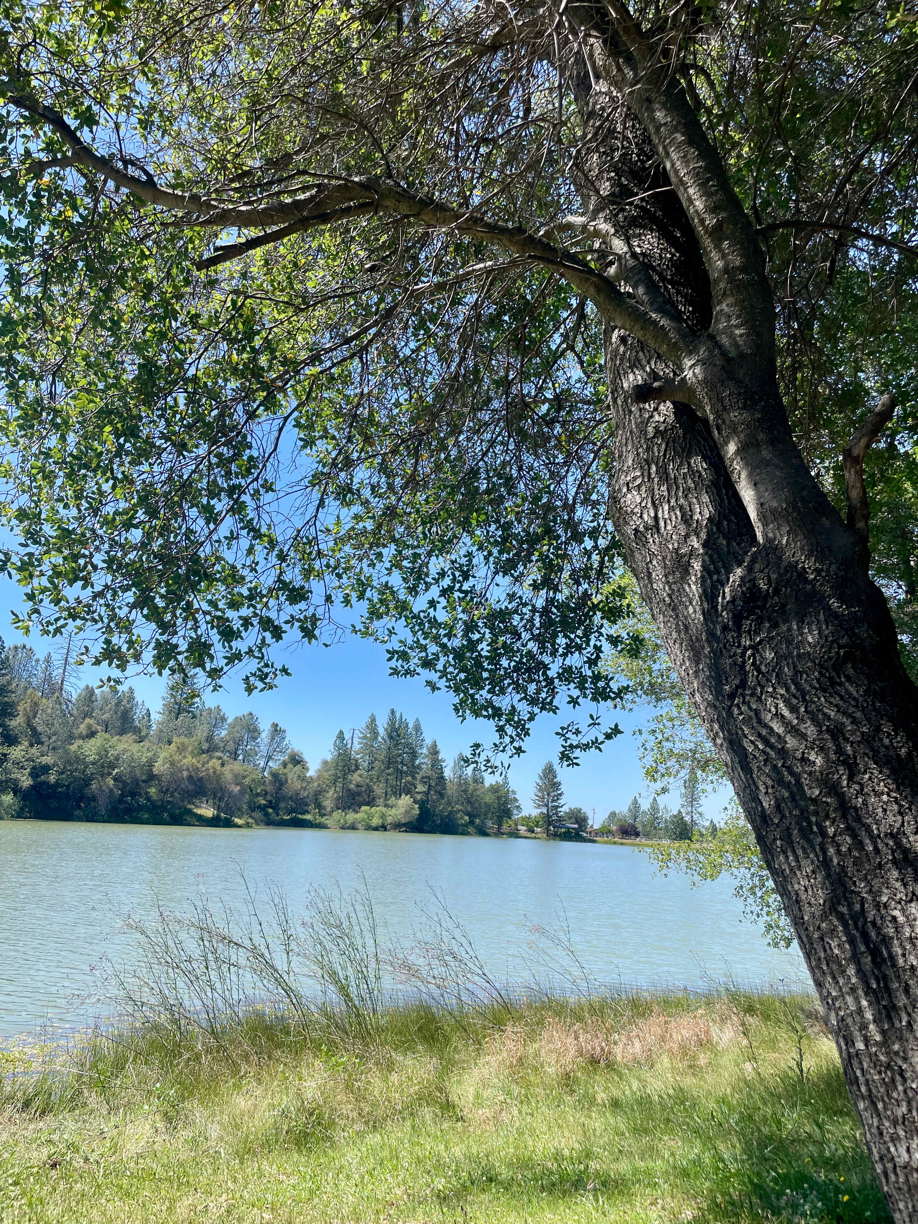 Finnon Lake Recreation Area
