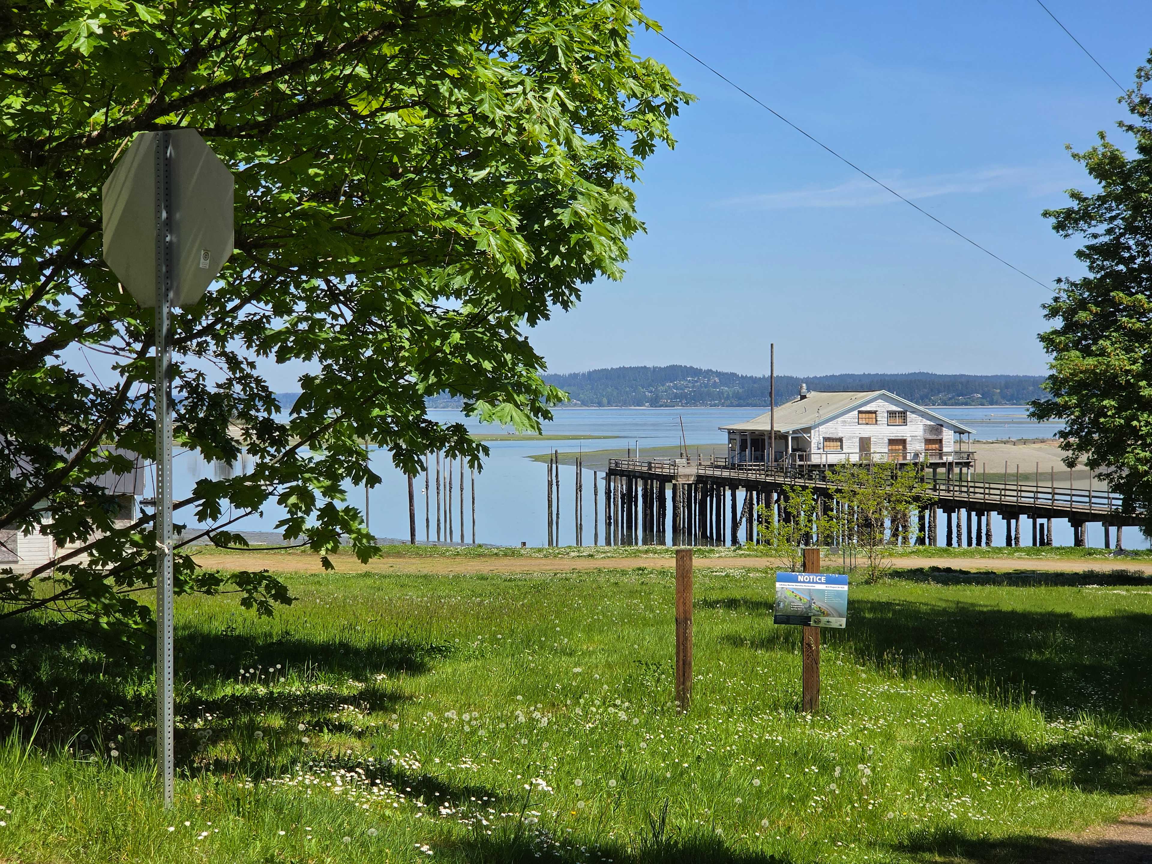 View from the site