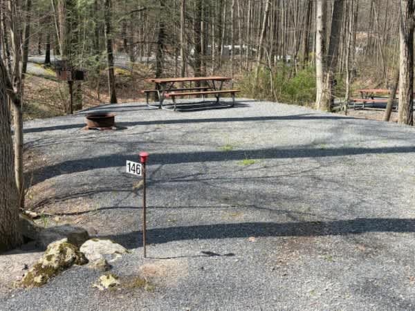 Picture of the site
