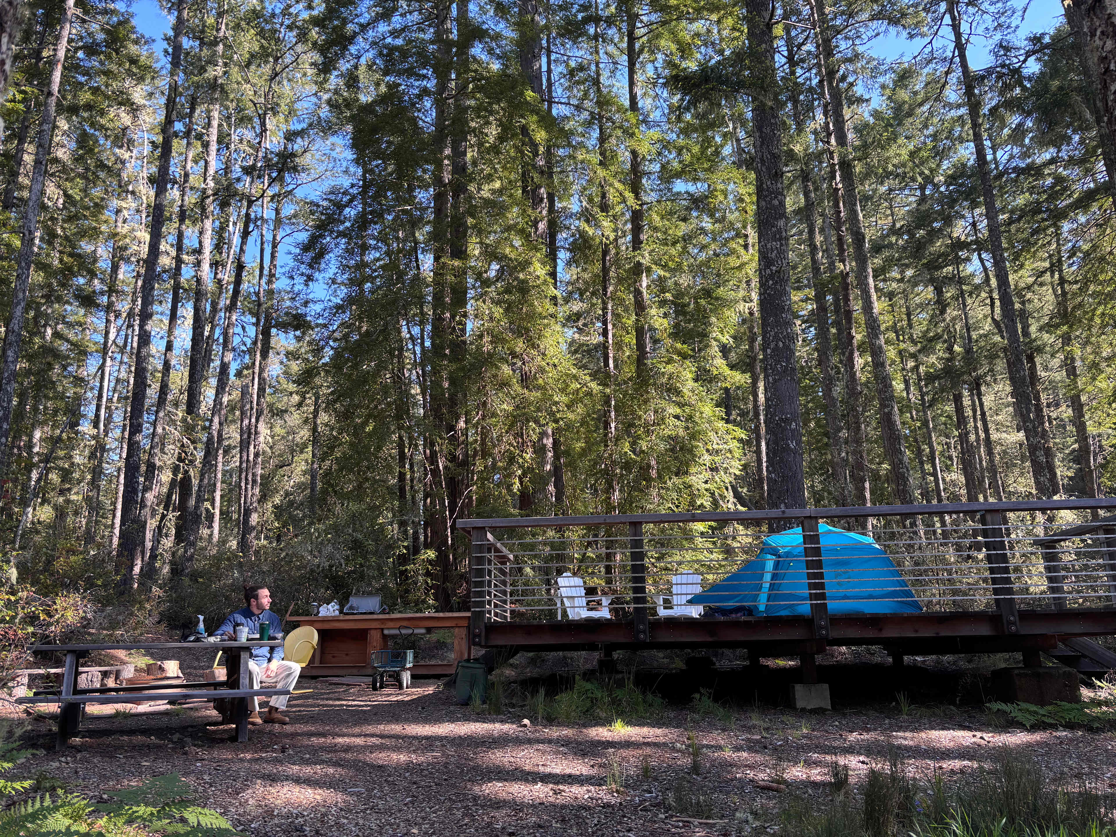 Huckleberry Haven