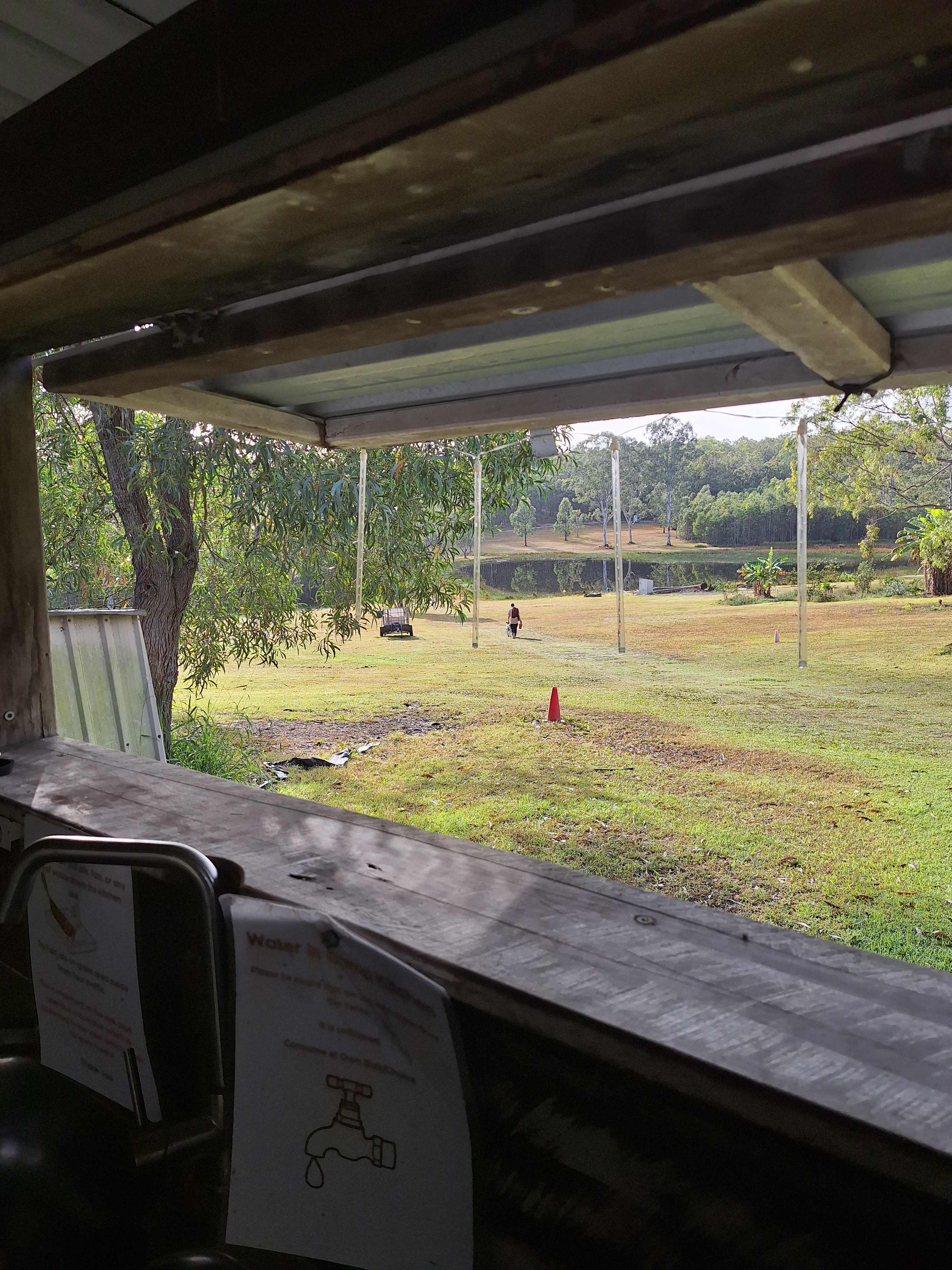 view from kitchen
