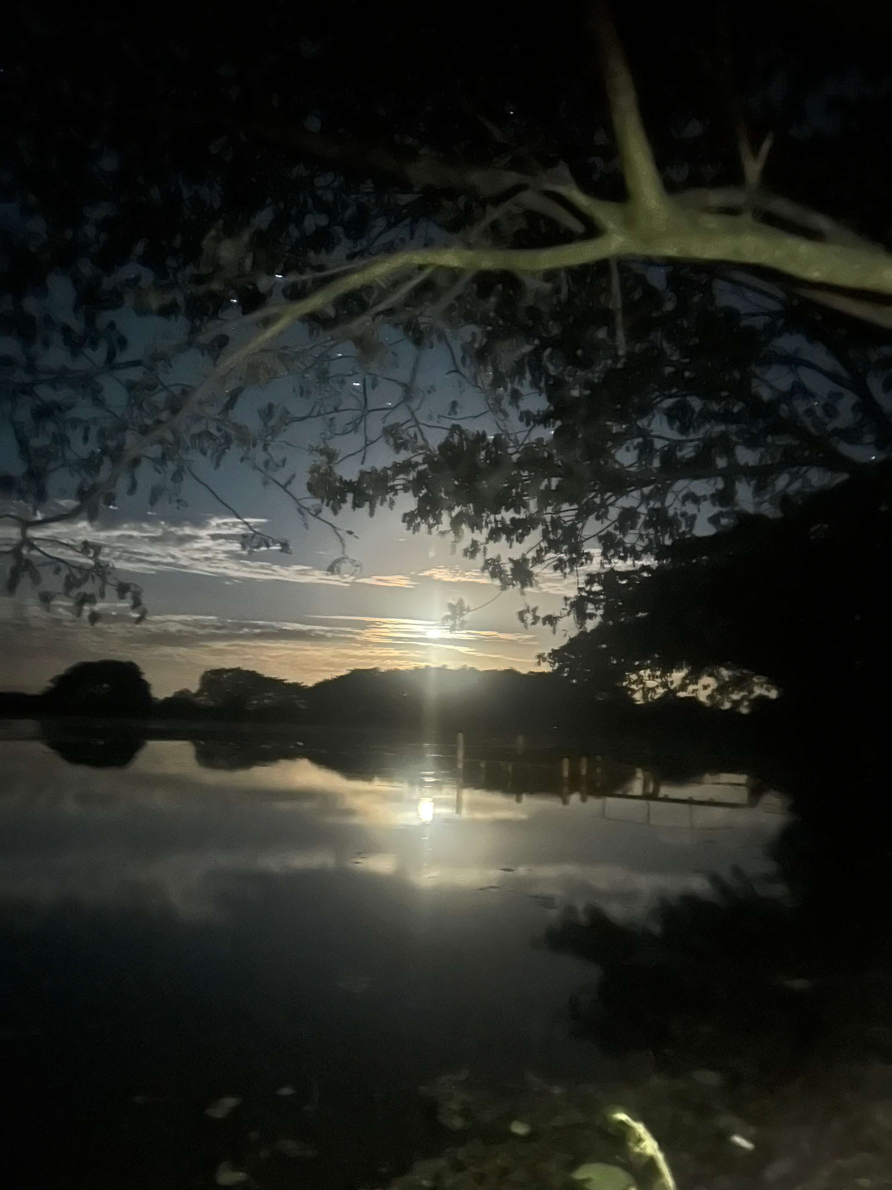 The Moon Rising over the Water