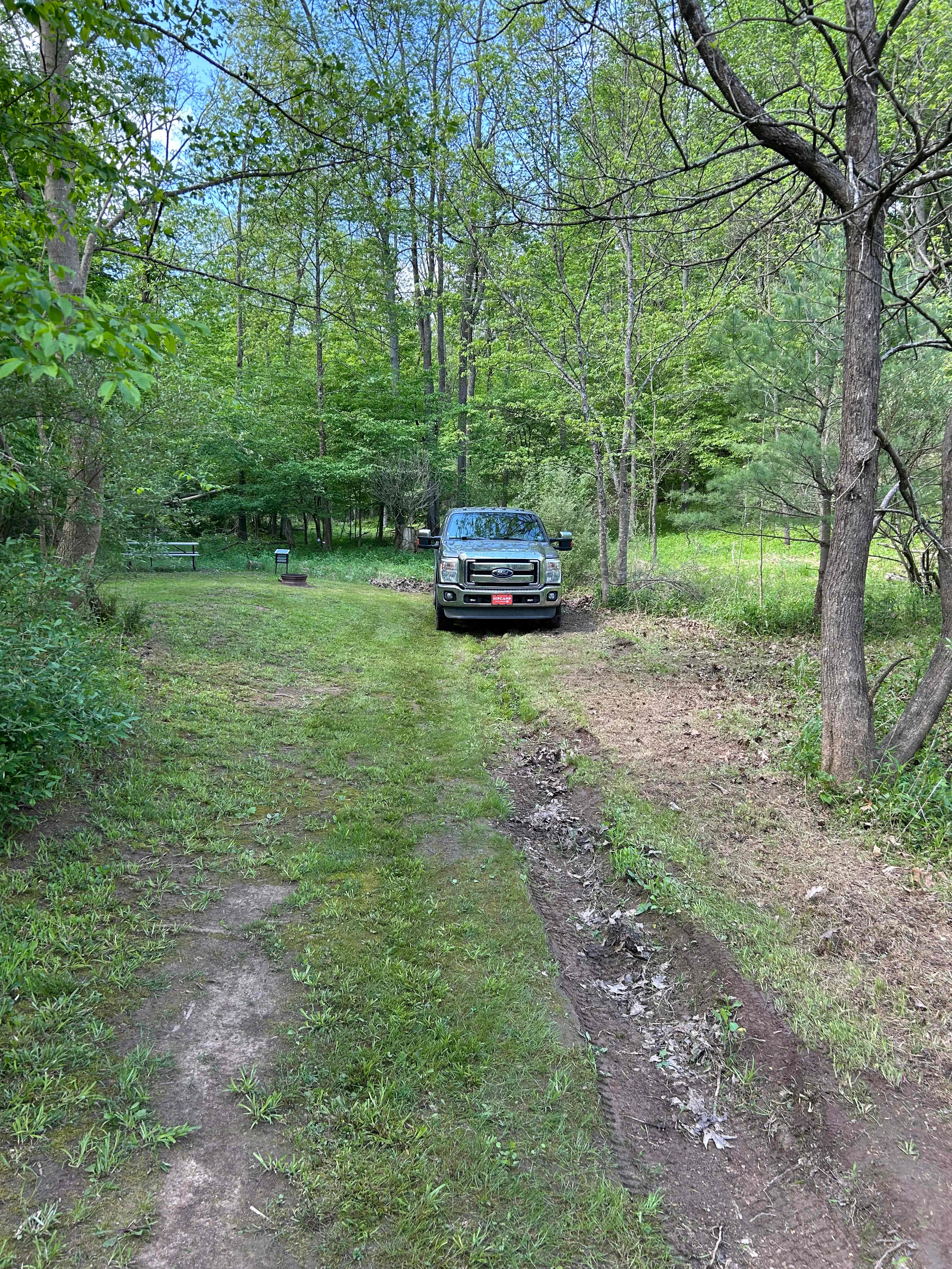 Picture of the site