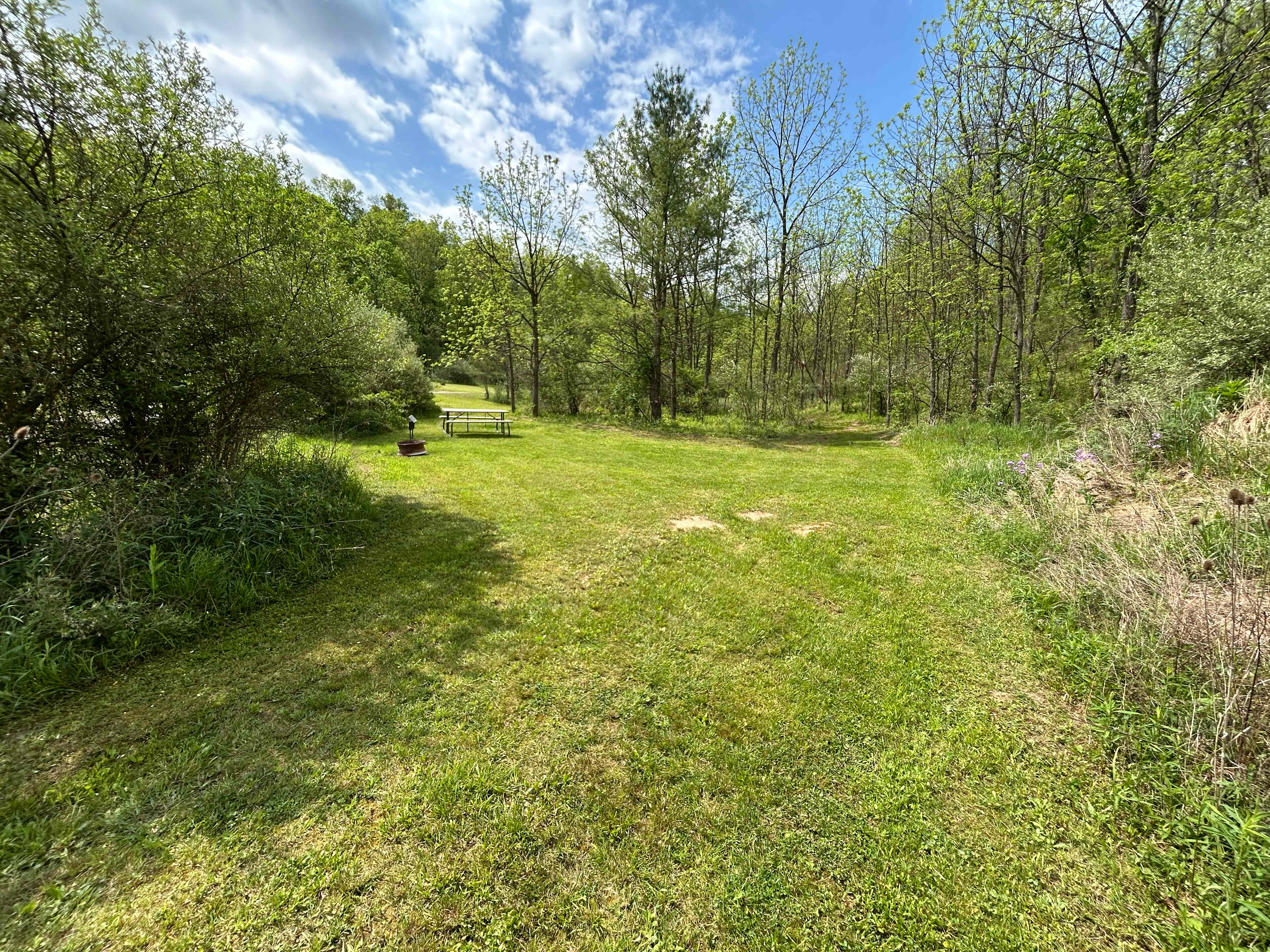 Picture of the site
