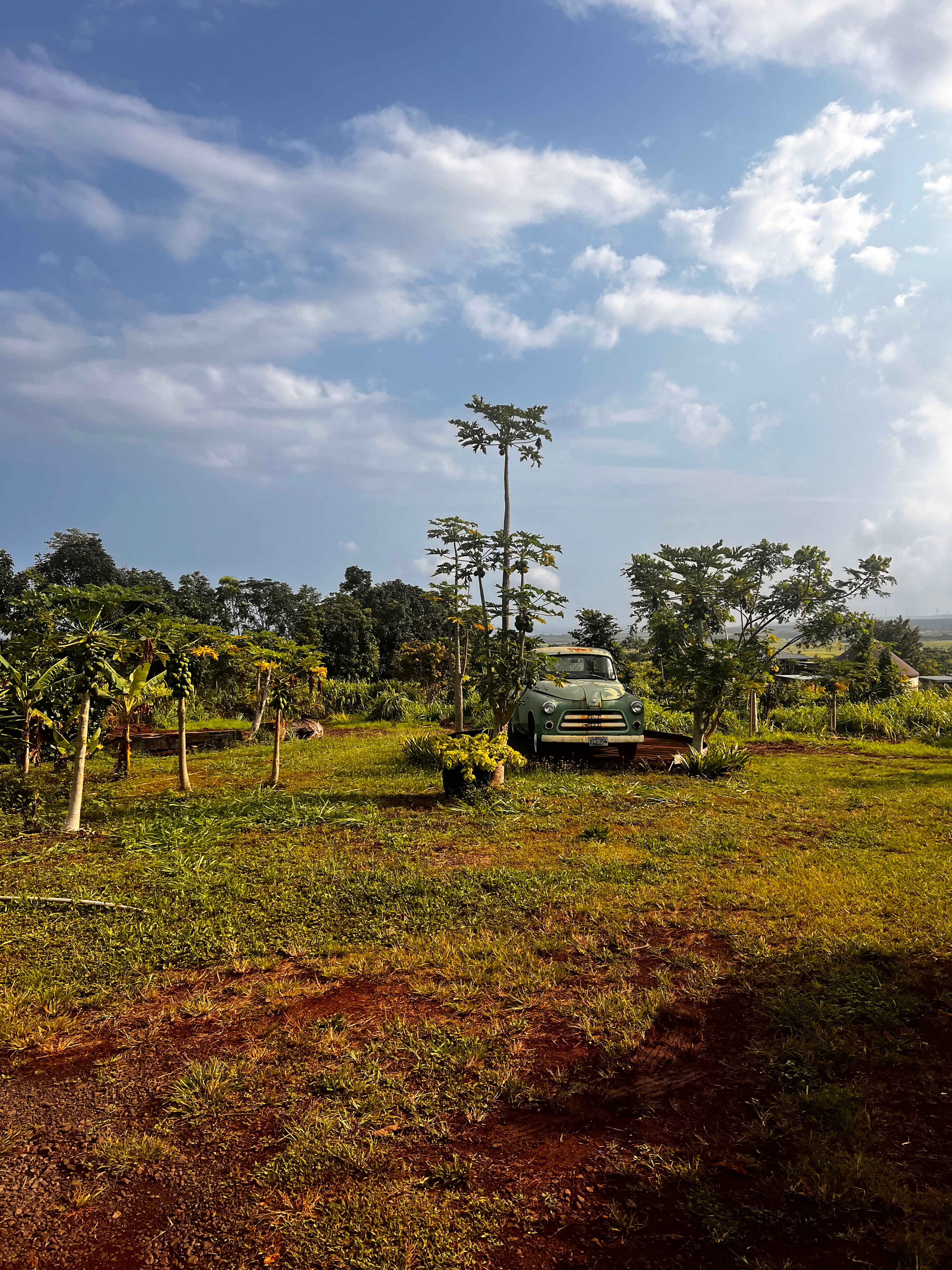 Living Circle Farms Hawaii