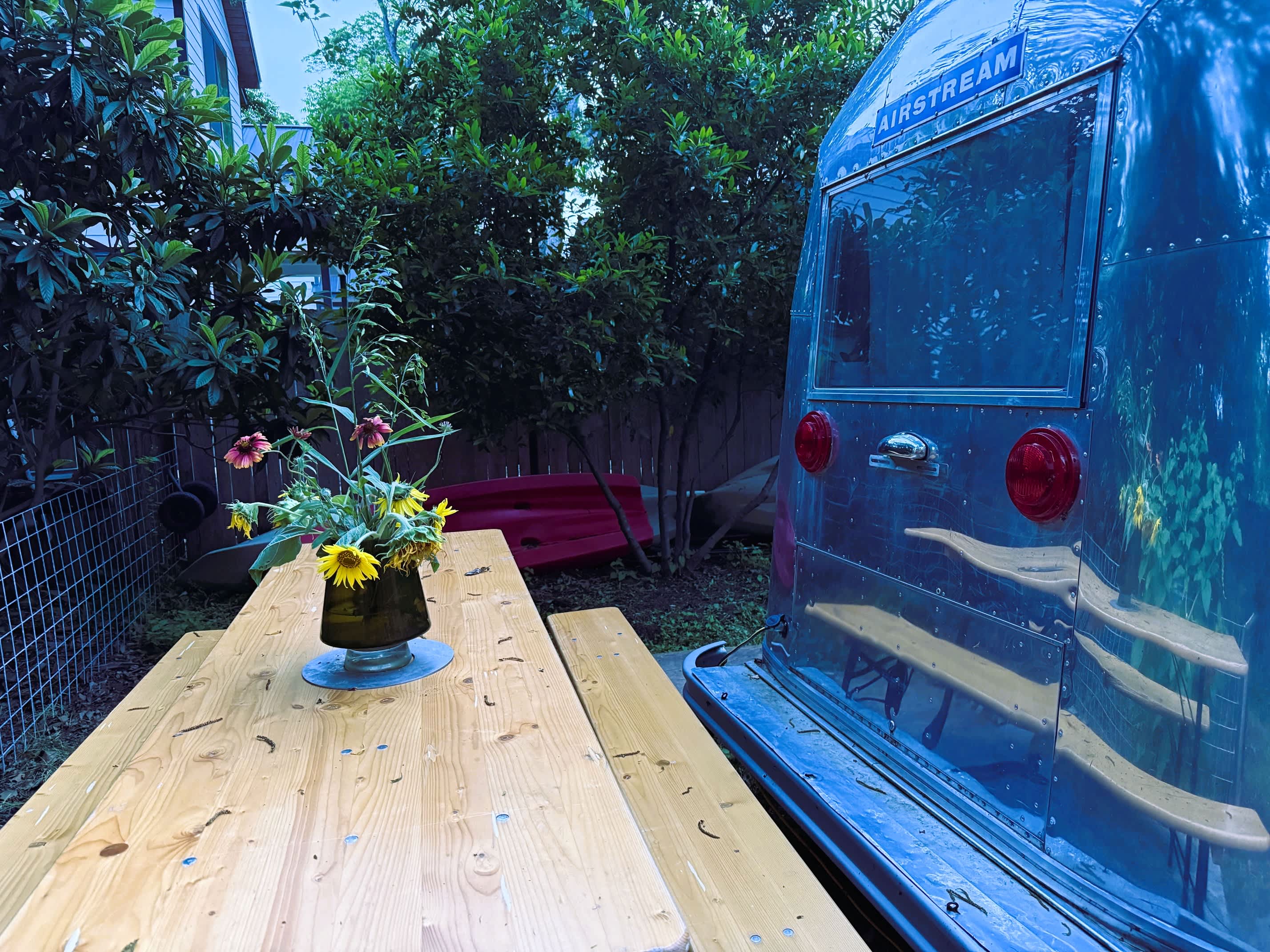 East Austin Orchard Oasis