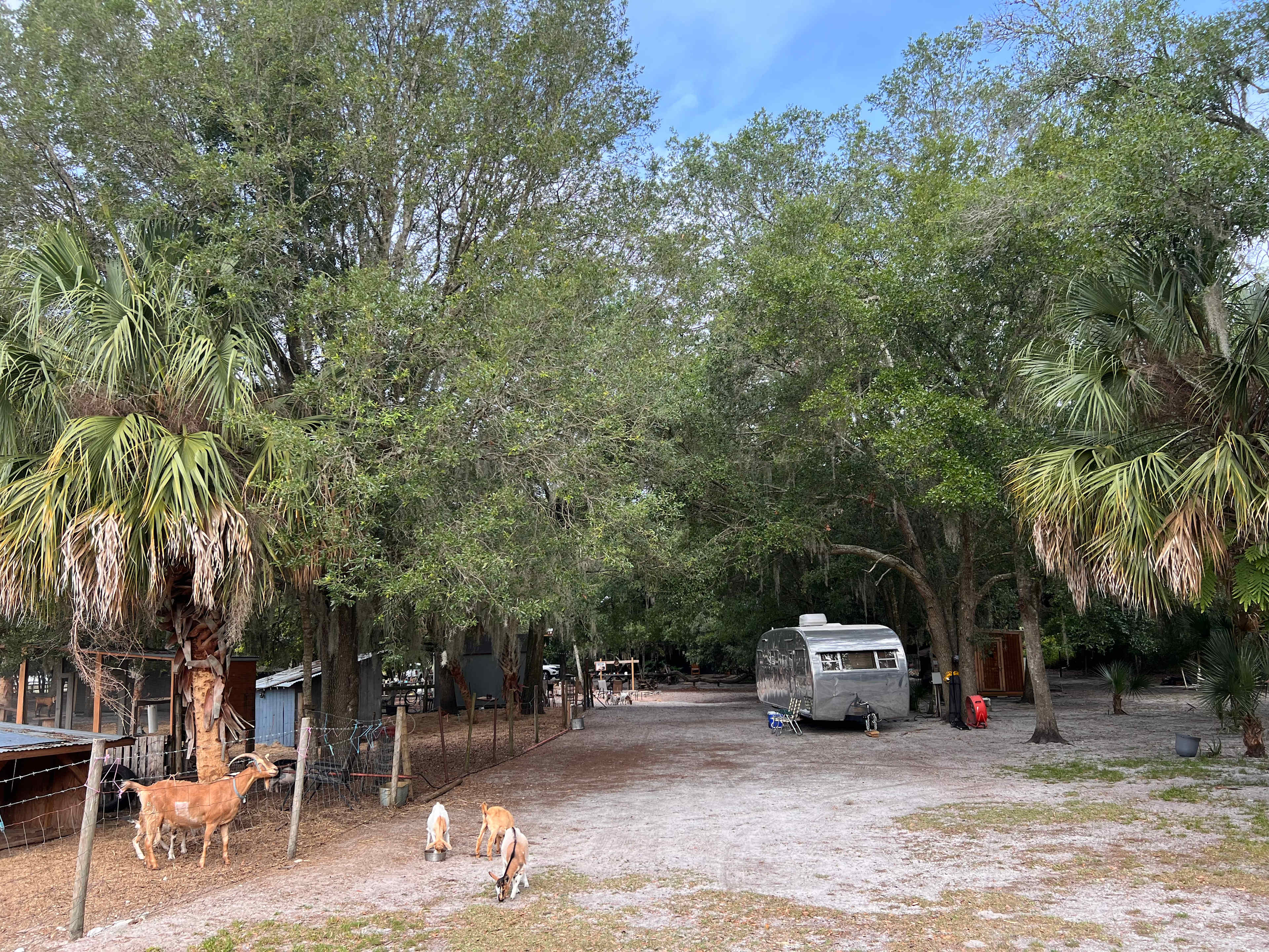 True Trail Farm