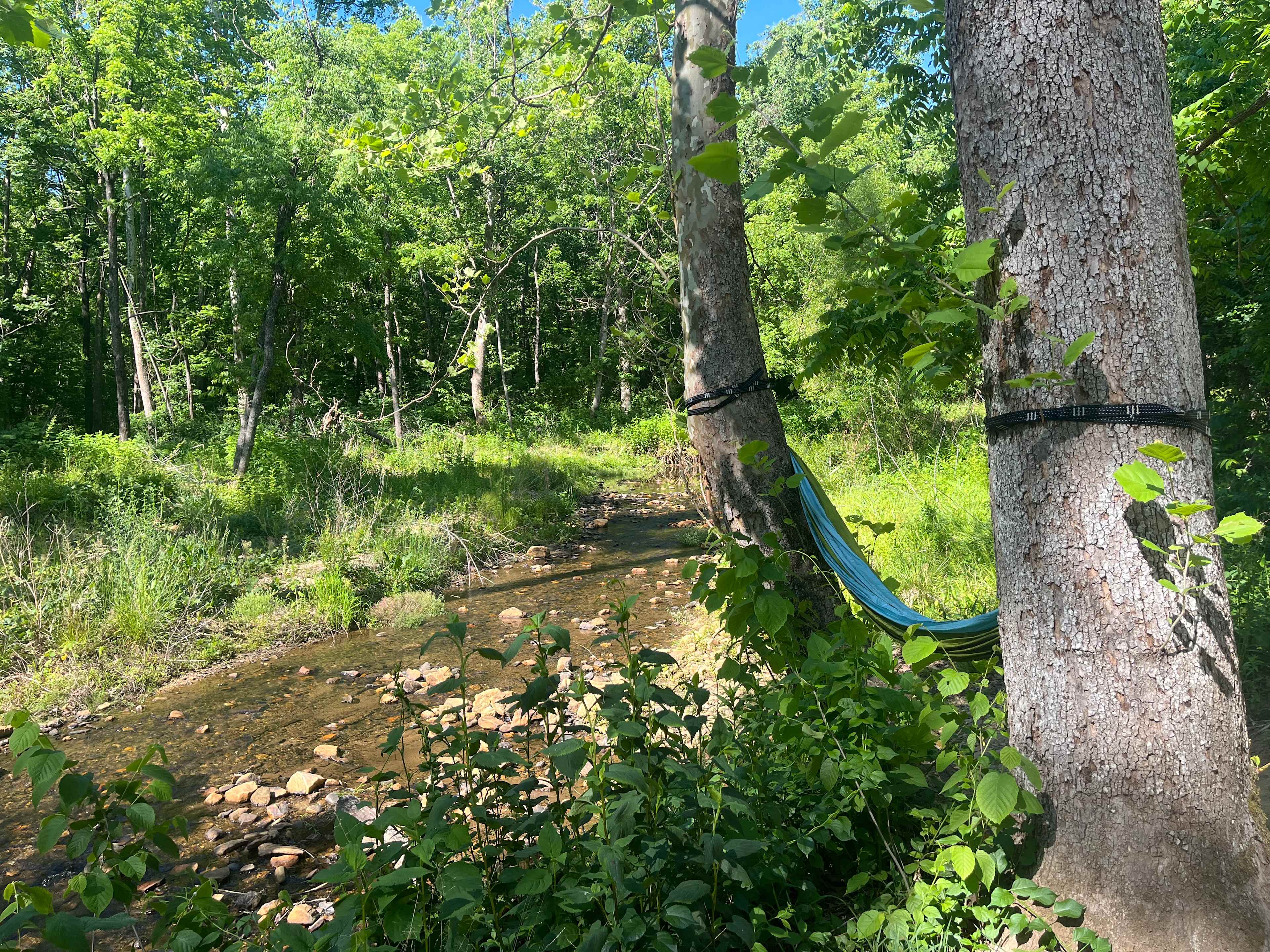 TangleWood Creekside Campsites