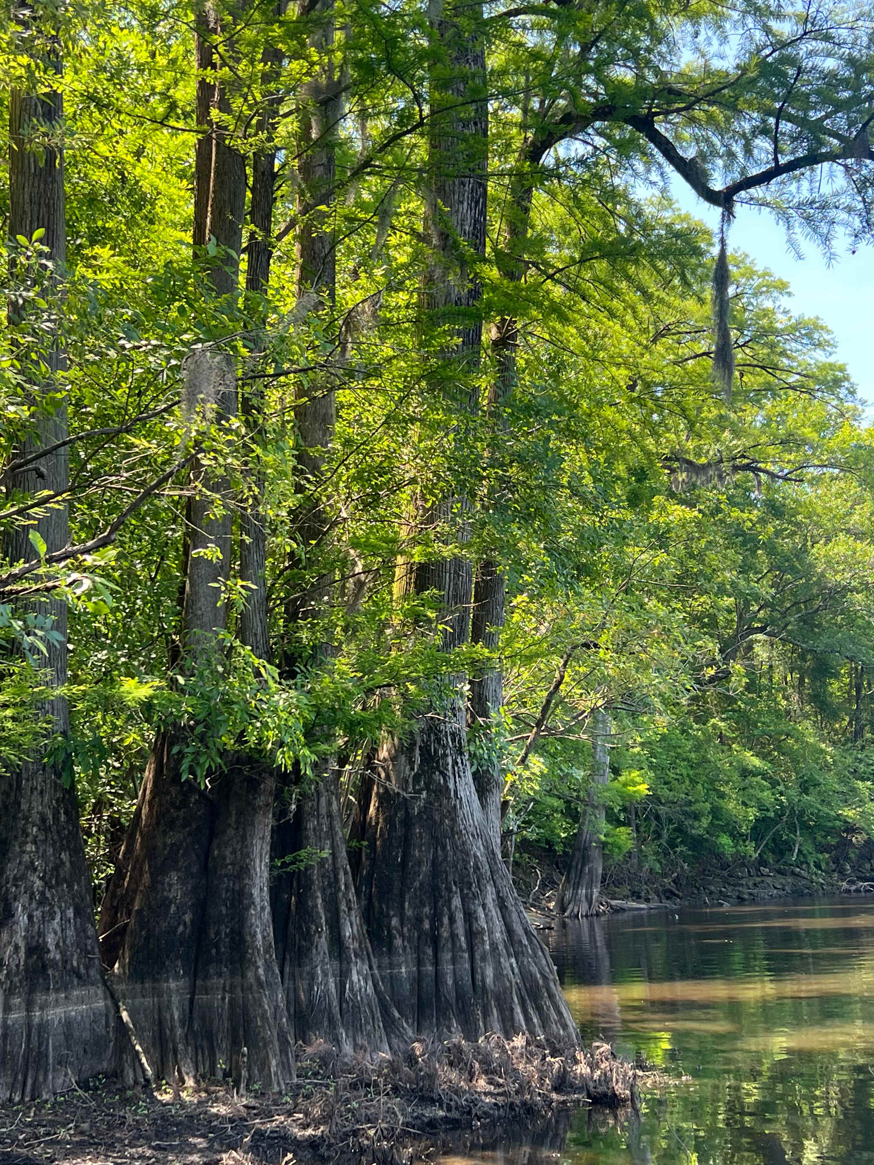 Black River Camping Ventures