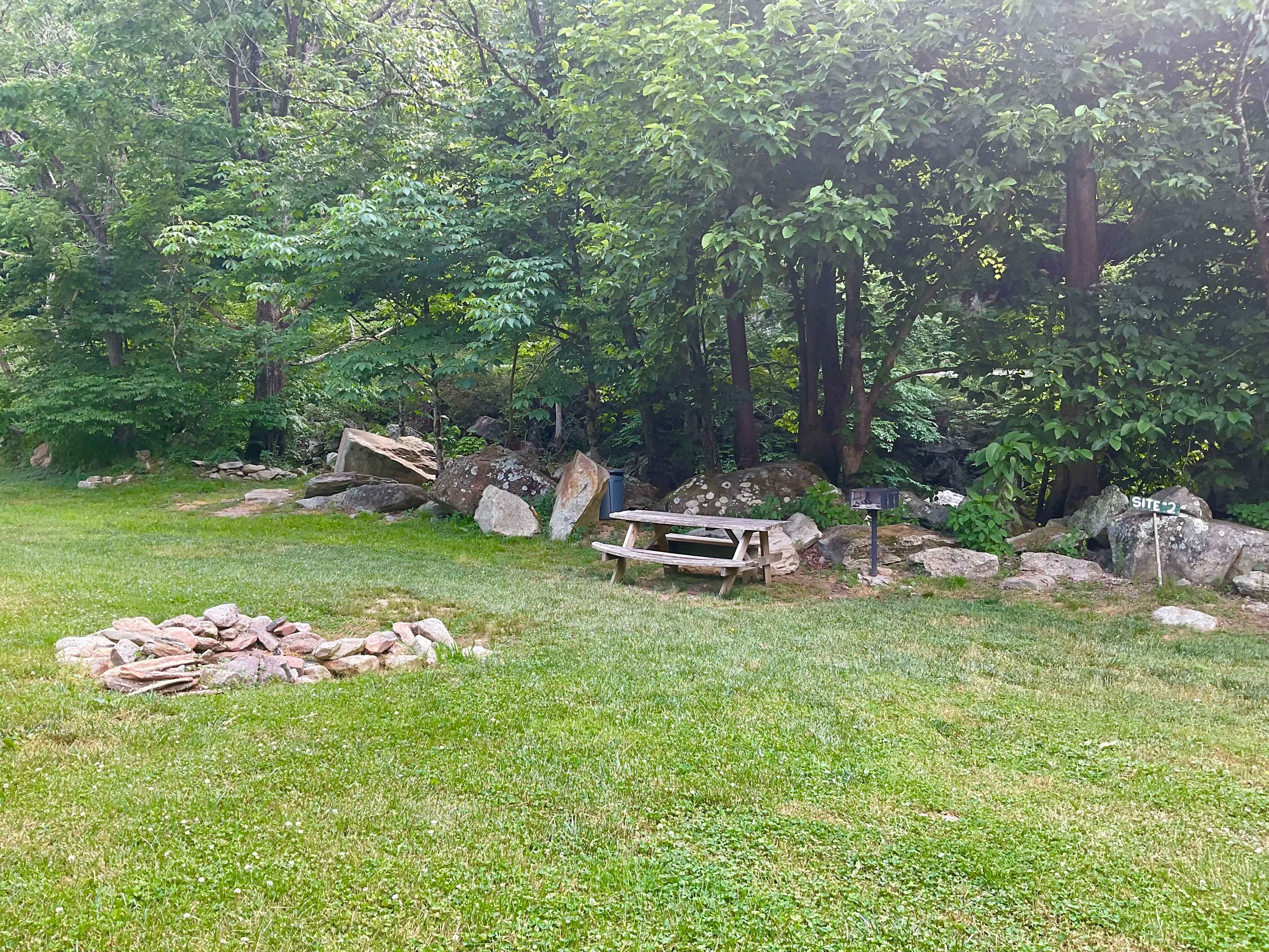 Picture of the site
