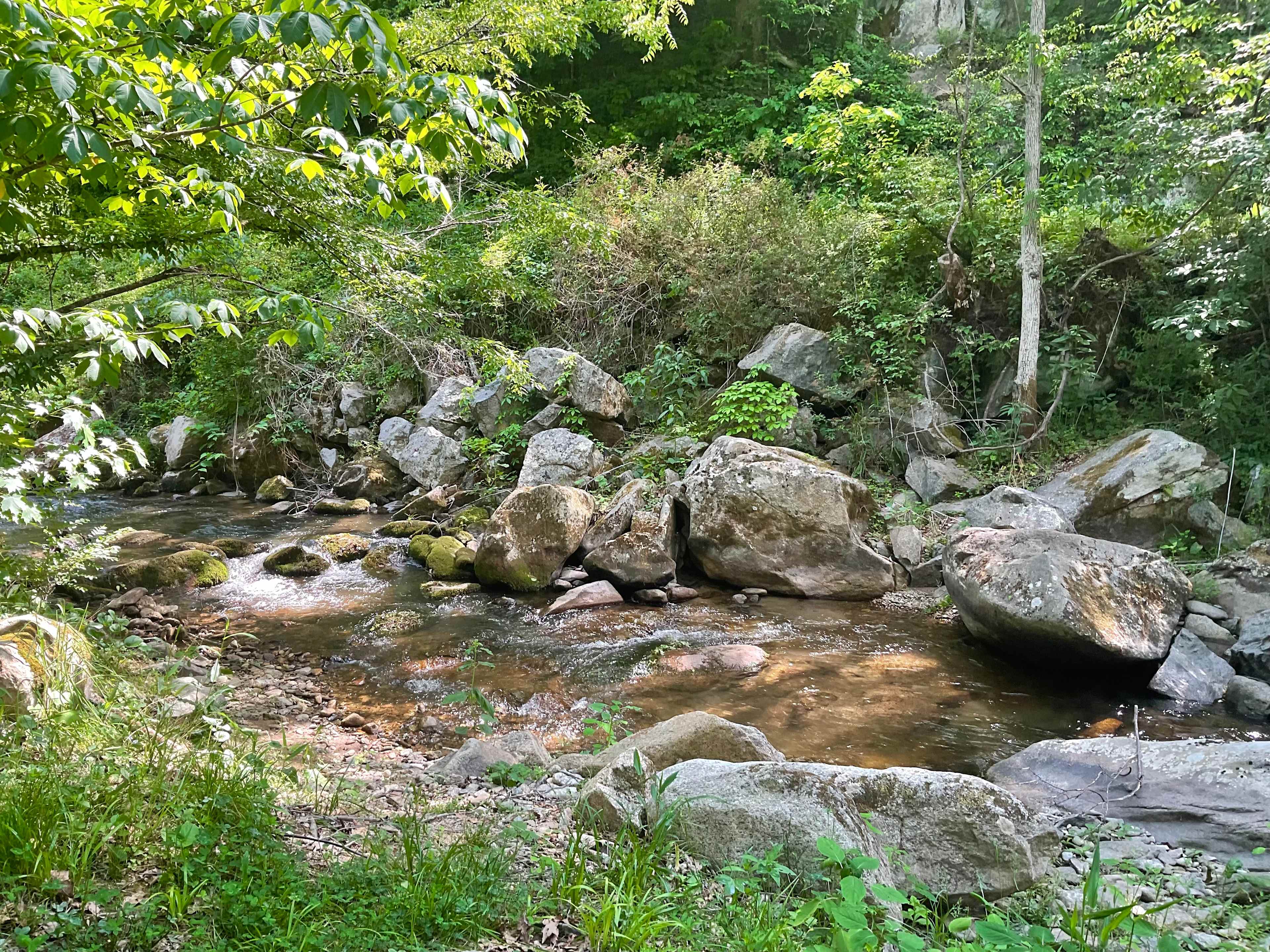 Picture of the site